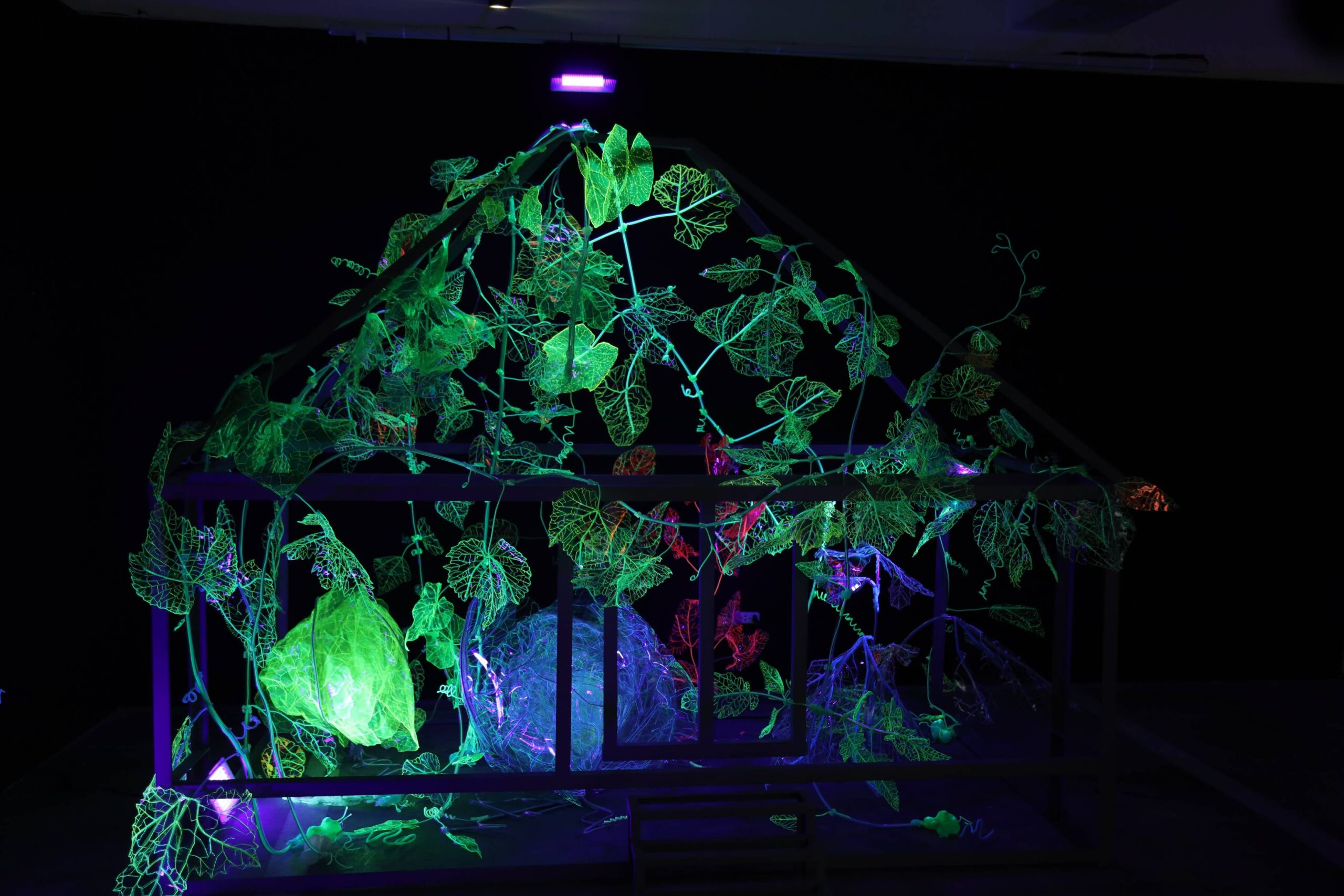 The grandparents' house in Andreea Medar's "Leftover From The Future."