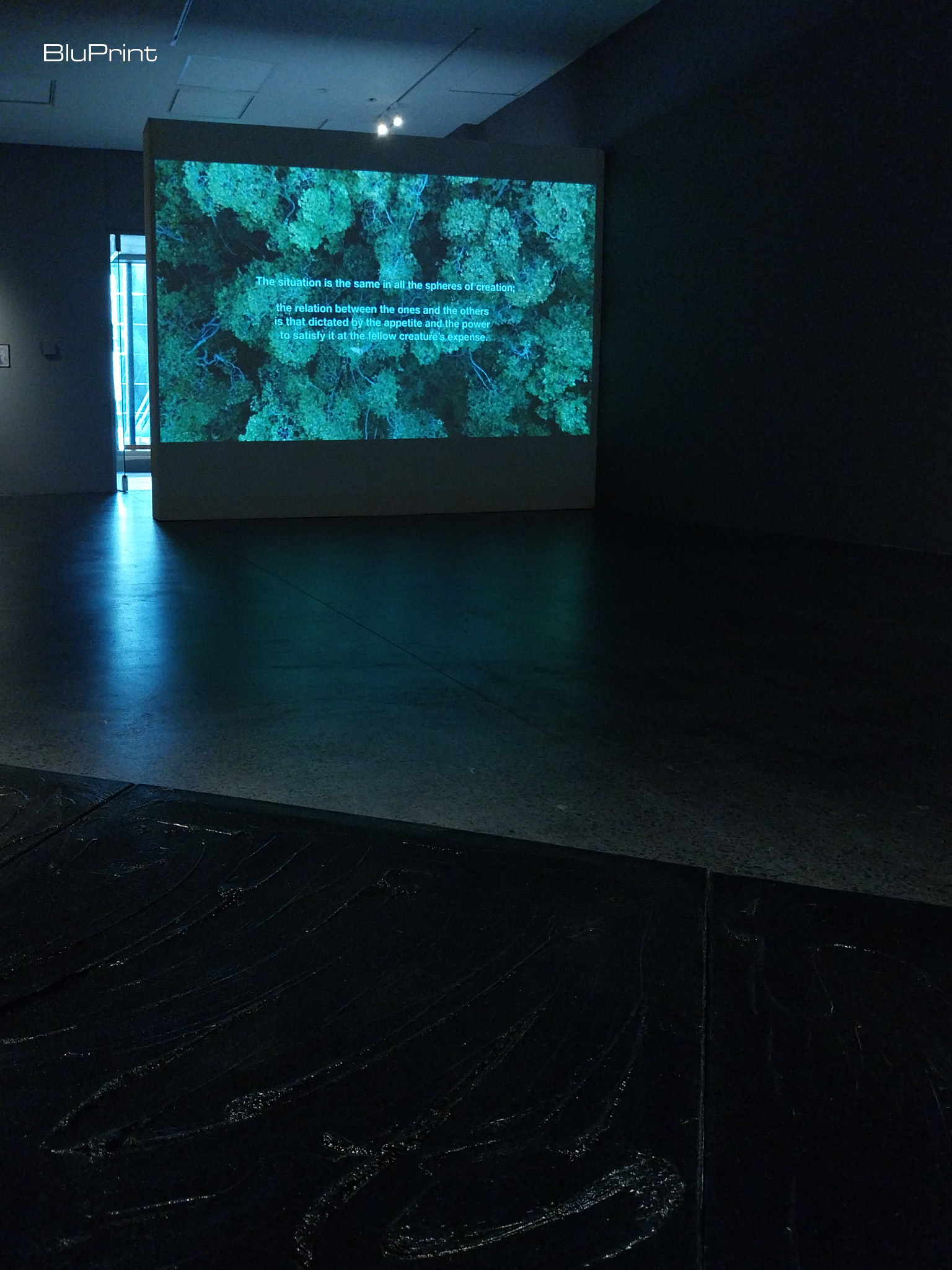 Projector image from "Snare for Birds." Photo by Patricia F. Yap.