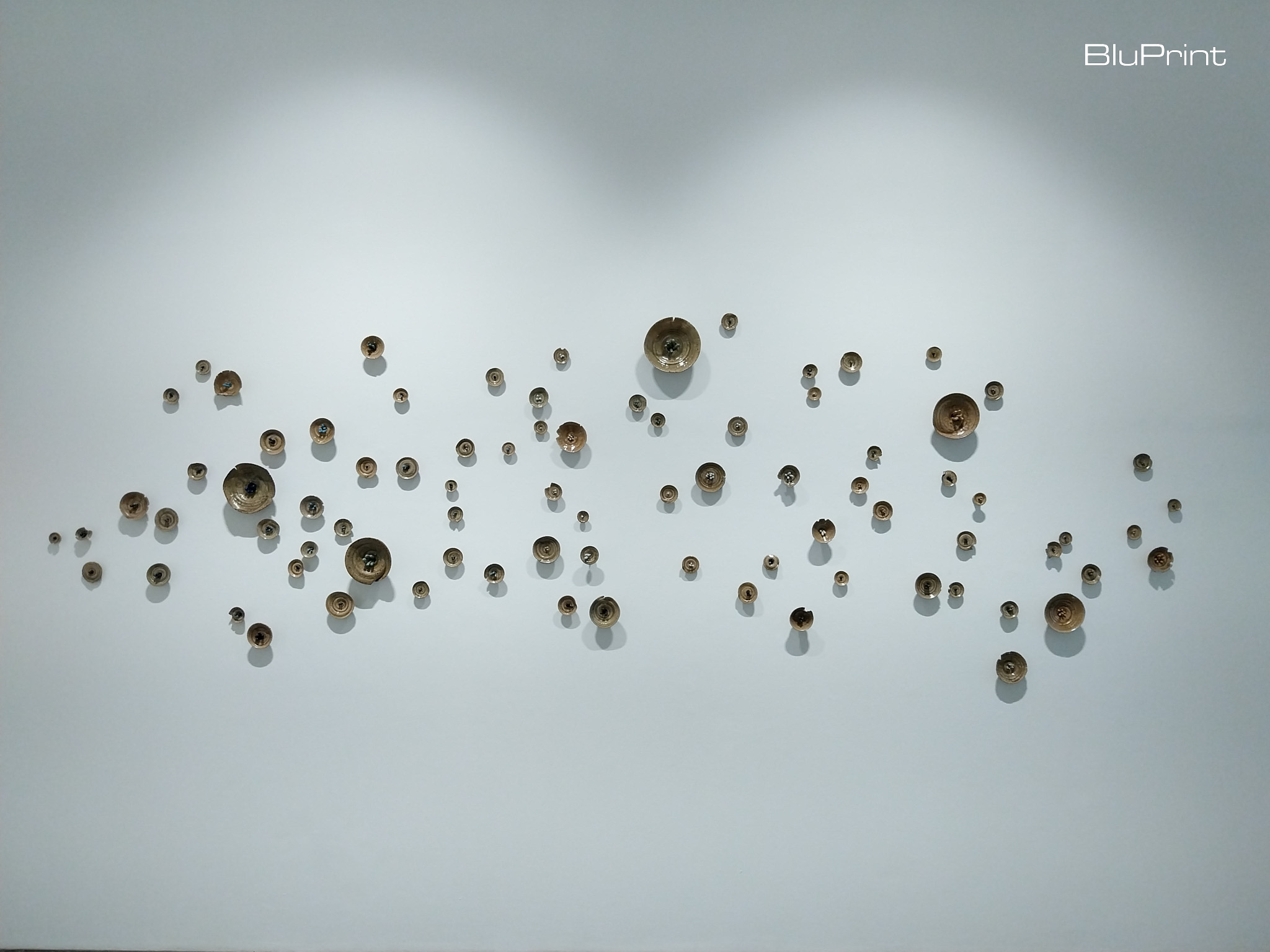 "Bloom Field" from Tessy Pettyjohn's "A Light in Everything. Photo by Patricia F. Yap.