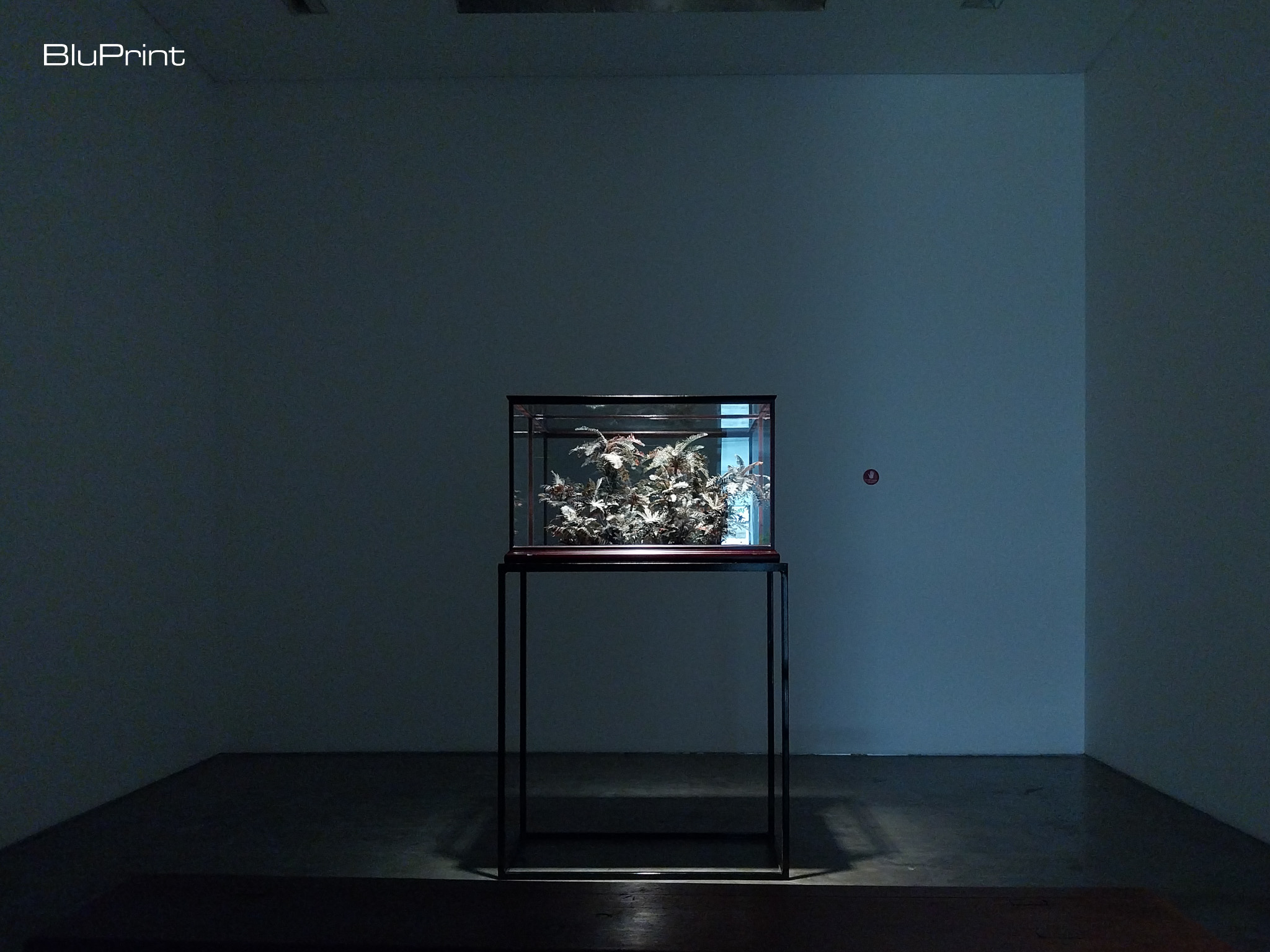 "Pulô series XVI" from the "‘Return, My Gracious Hour!" exhibit at Silverlens Makati. Photo by Patricia F. Yap.