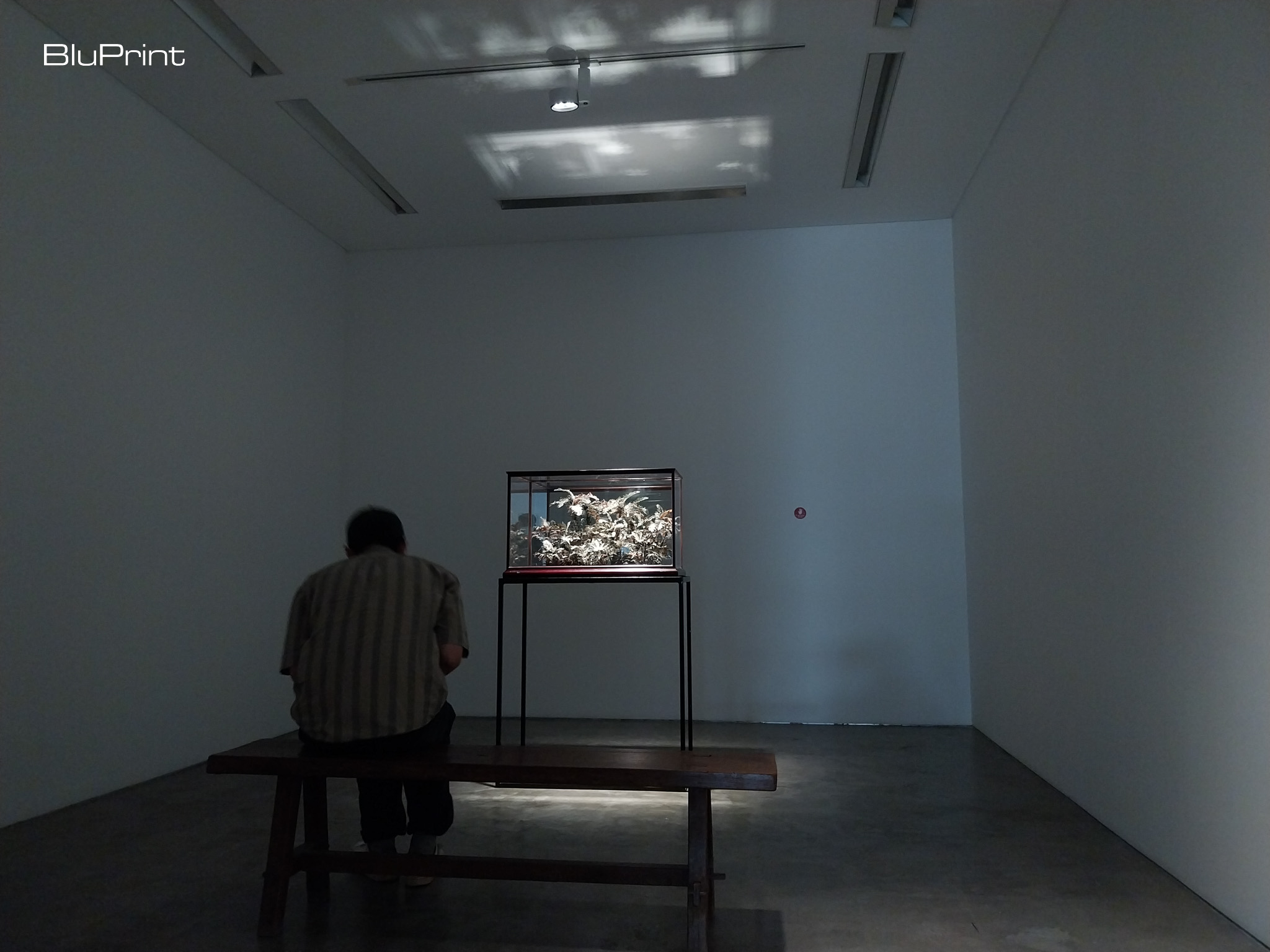 "Pulô series XVI" from the "‘Return, My Gracious Hour!" exhibit at Silverlens Makati. Photo by Patricia F. Yap.