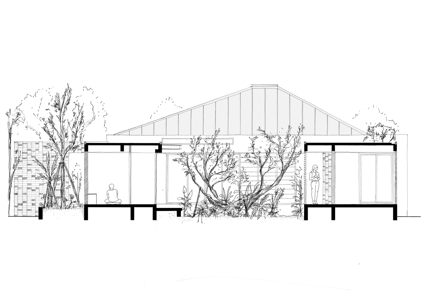 Section drawing of a tropical house.