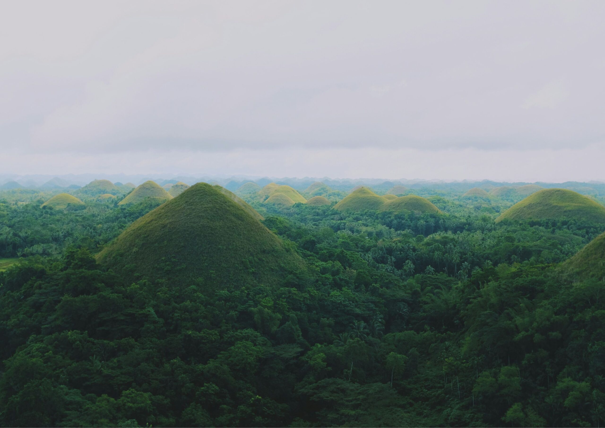 Chocolate Hills in Bohol