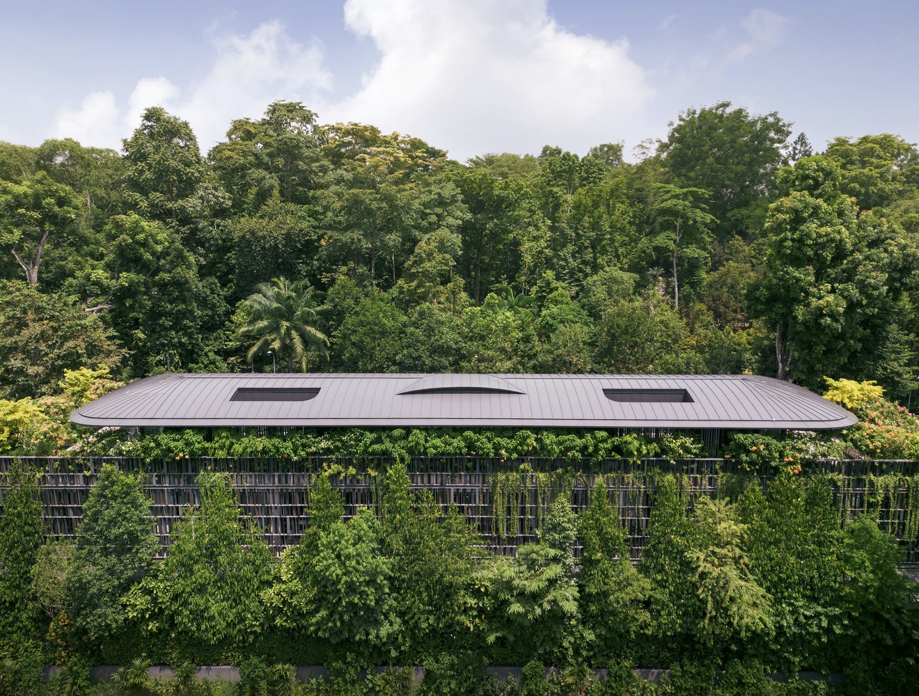 touching-eden-house-wallflower-architecture-plus-design_15 - BluPrint