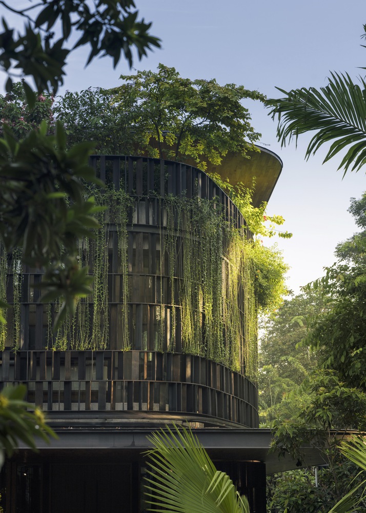 touching-eden-house-wallflower-architecture-plus-design_3 - BluPrint