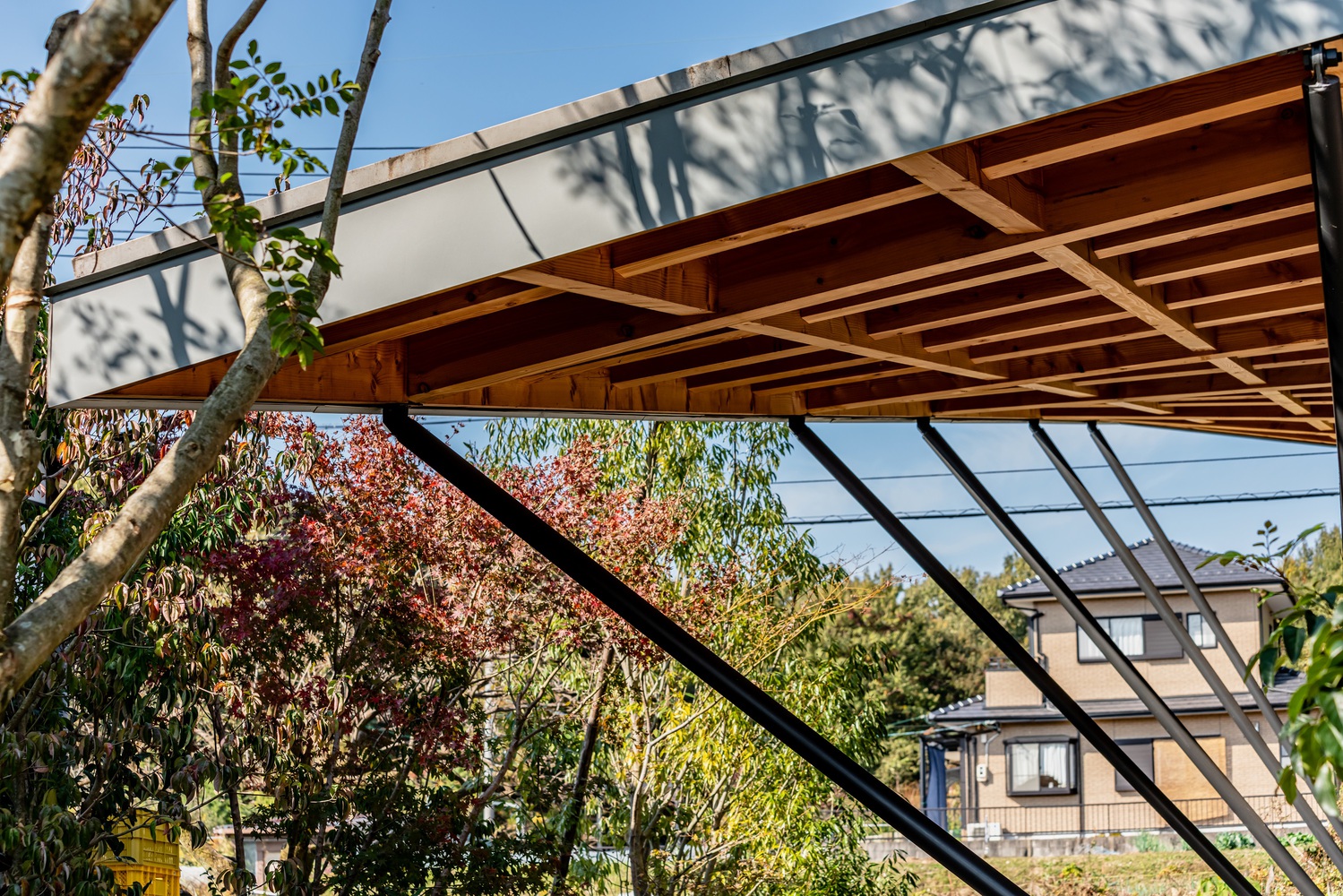 The curving of the roof, supported by cantilever beams. Photo by Takashi Uemura.