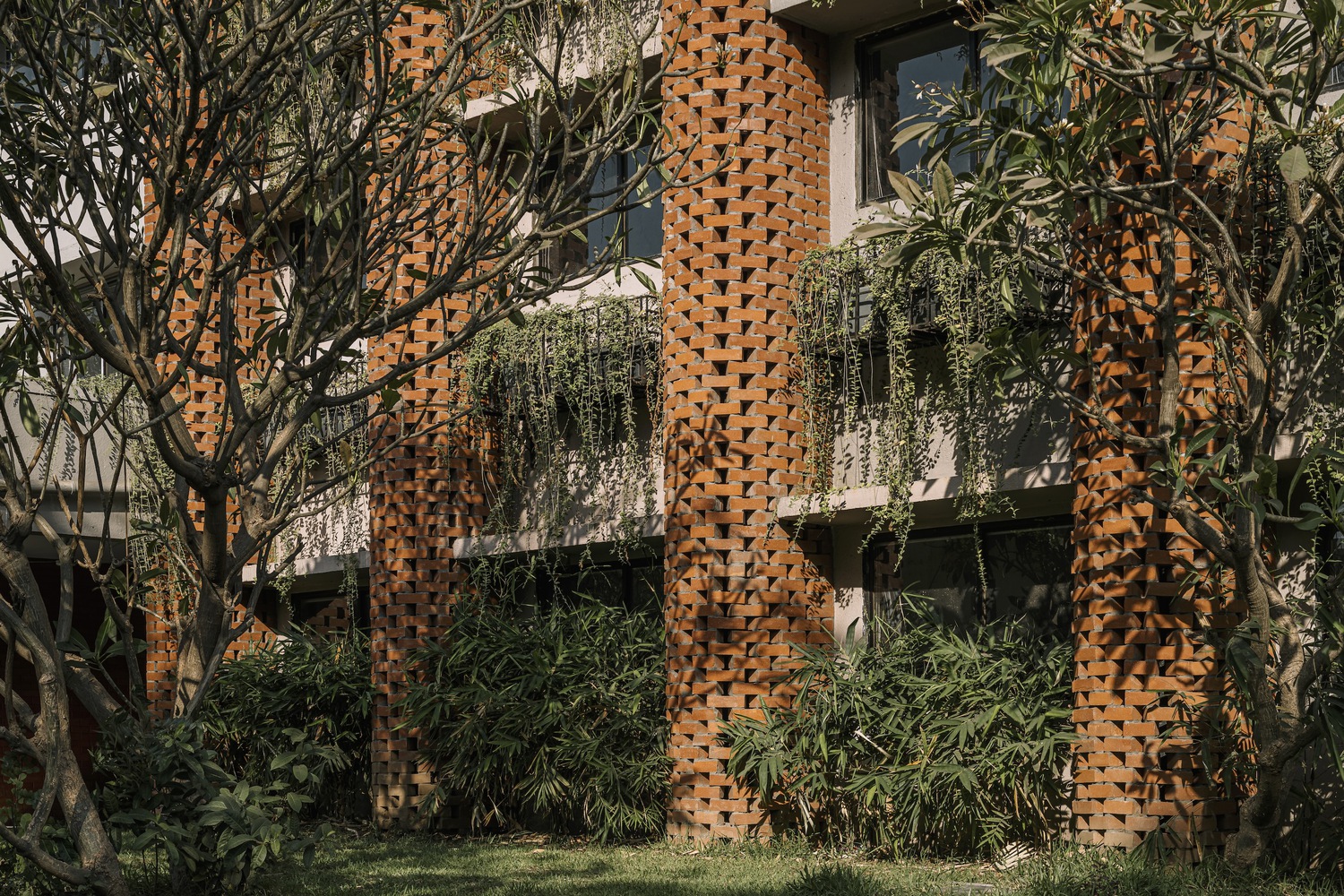 Exterior of the Nursing College Ashaktashram with plants. Photo by The Fishy Project.
