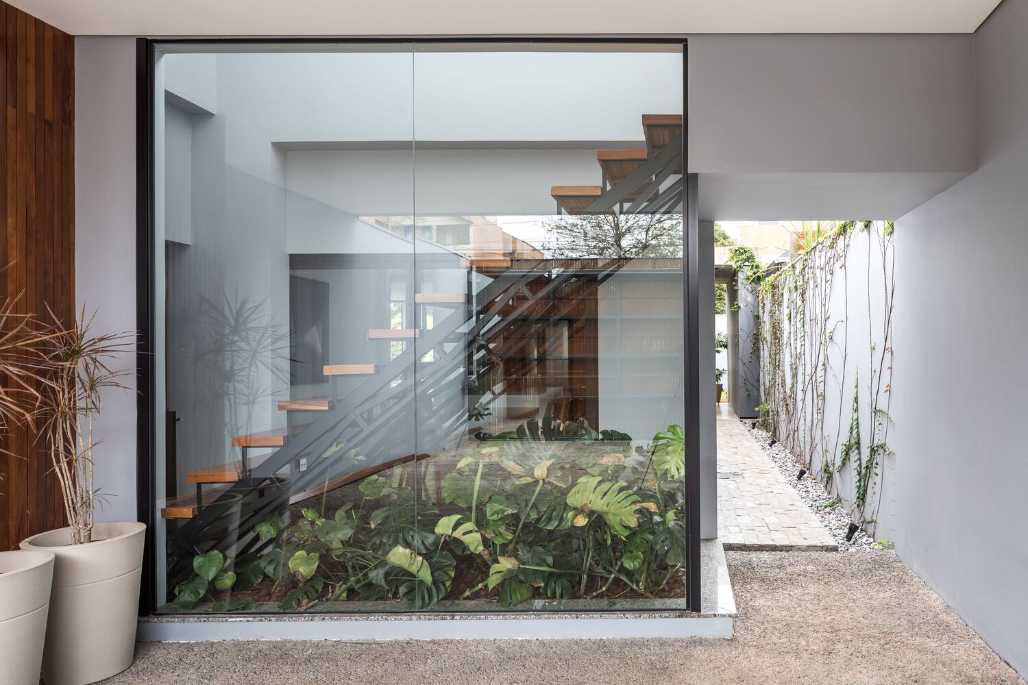 A leafy area. Photo by Eduardo Macarios.