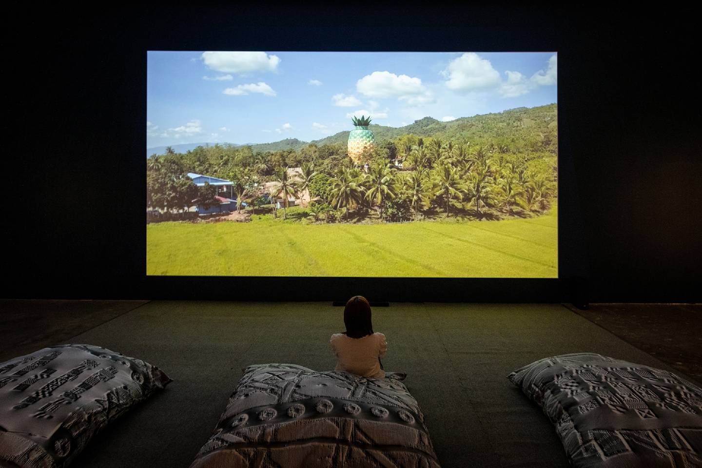 A person watching the exhibit. Courtesy of SILVERLENS.