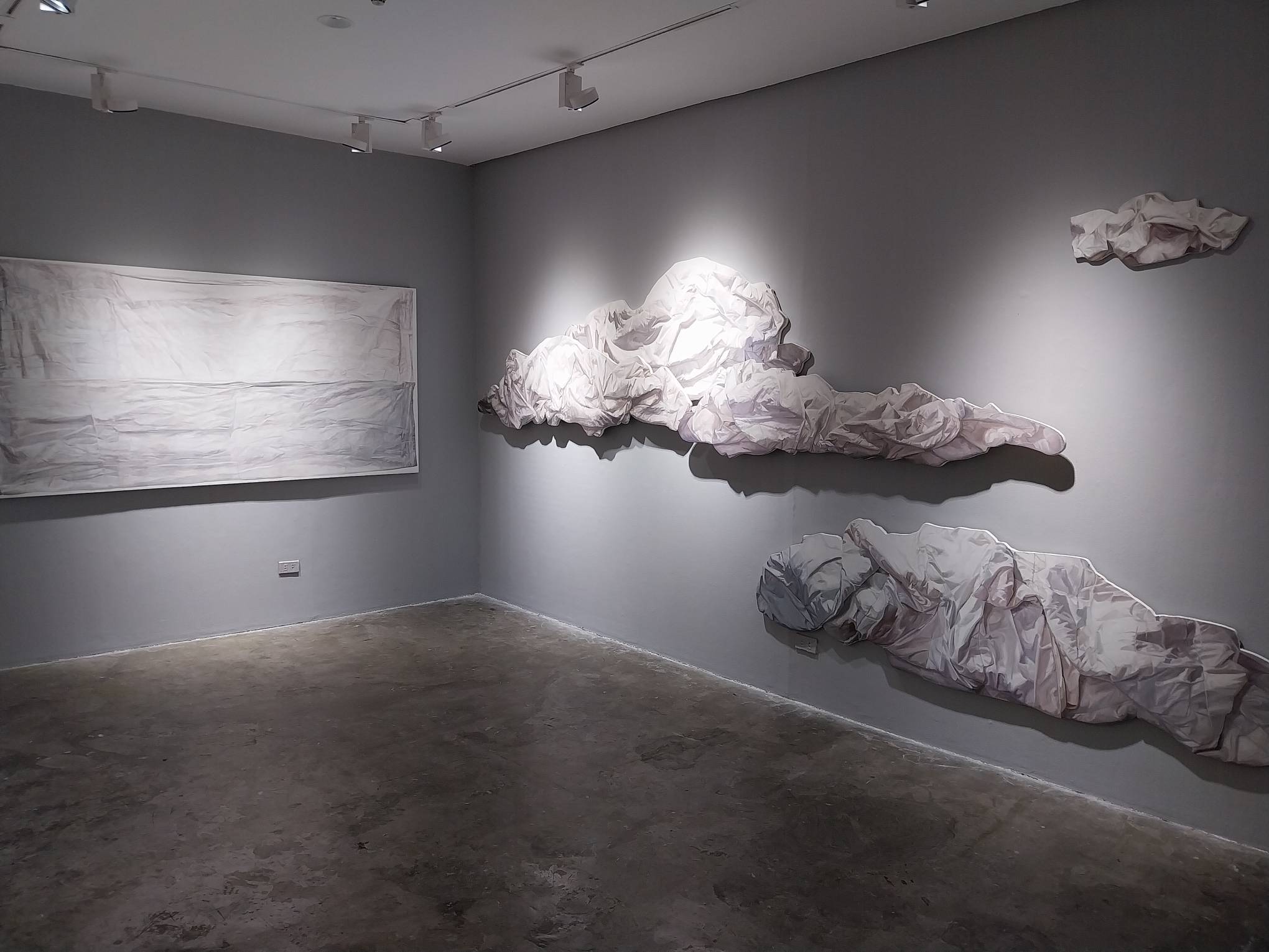 The "Anecdotal Evidence" exhibit. Photo by Elle Yap.