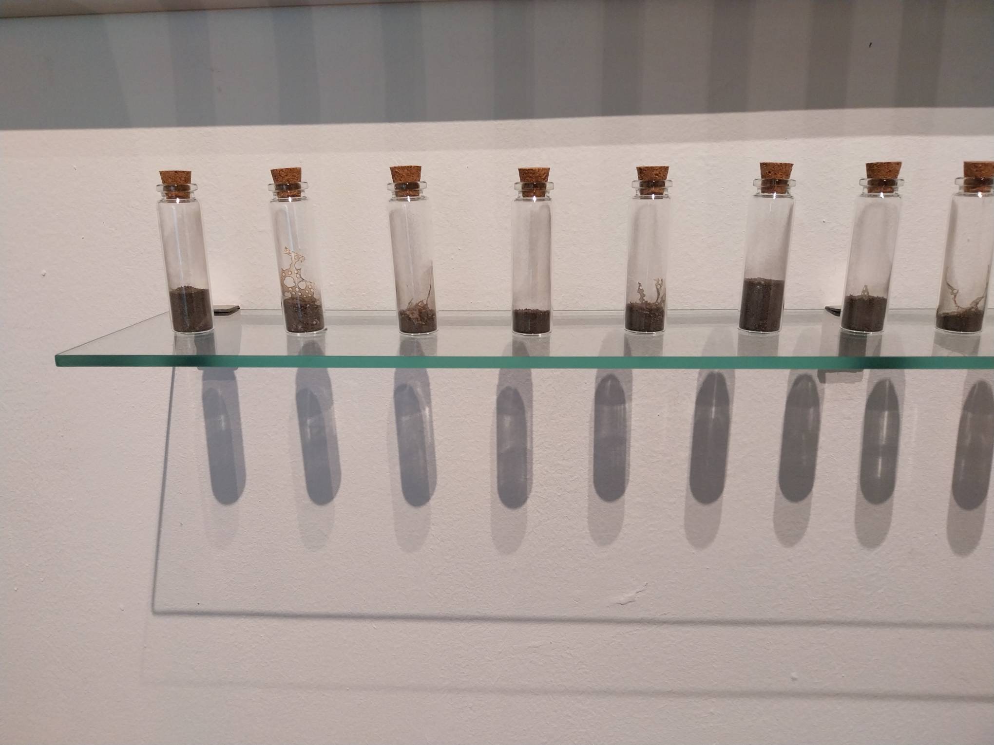 Close-up of the actual ashes from the exhibit. Photo by Elle Yap.