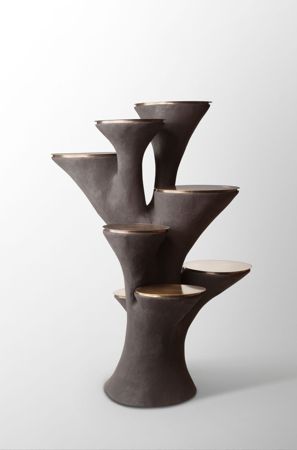 J McDonald "Fungus Shelf".