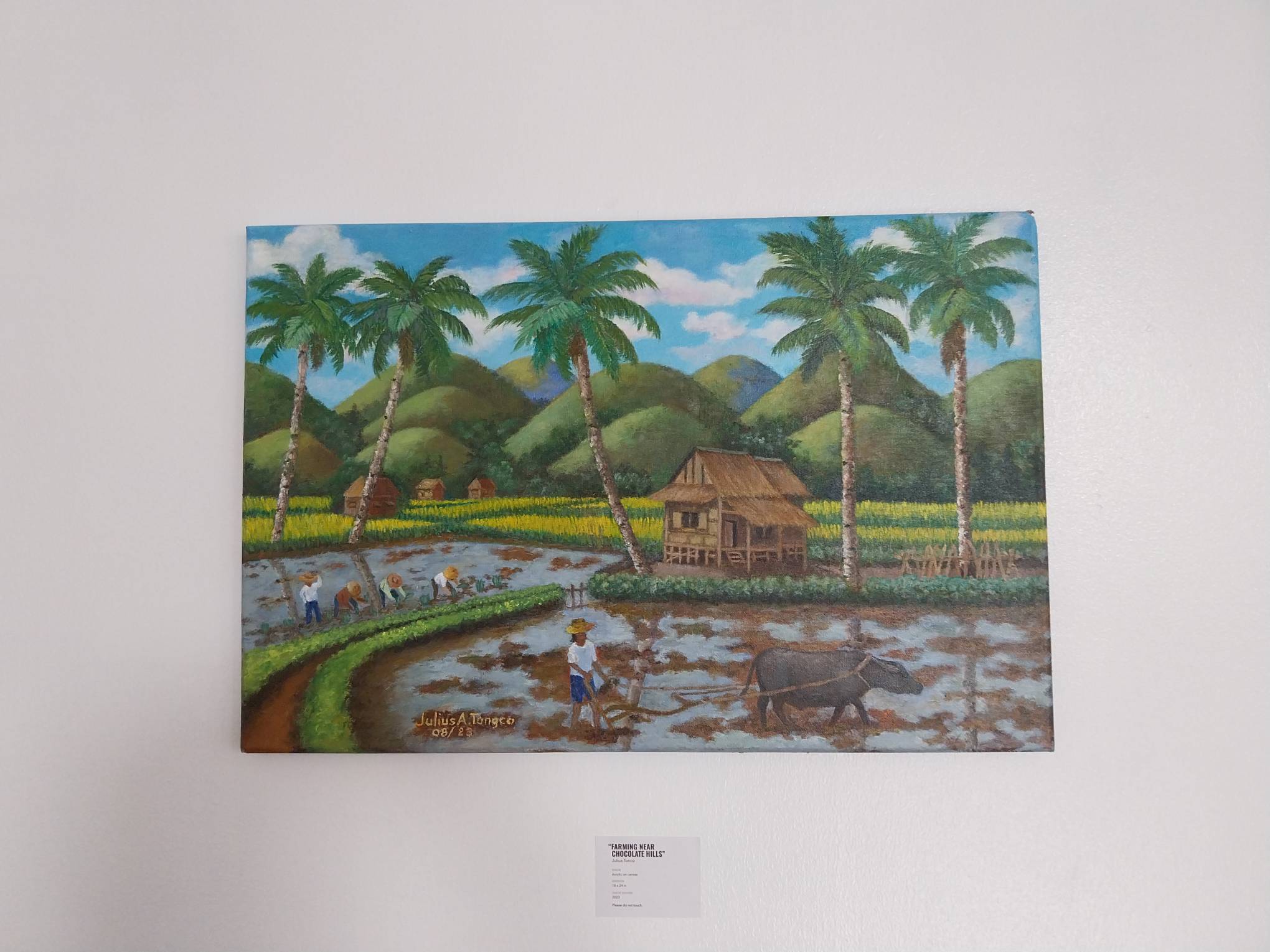 "Farming in Chocolate Hills" by Julius Tongco. Photo by Elle Yap.