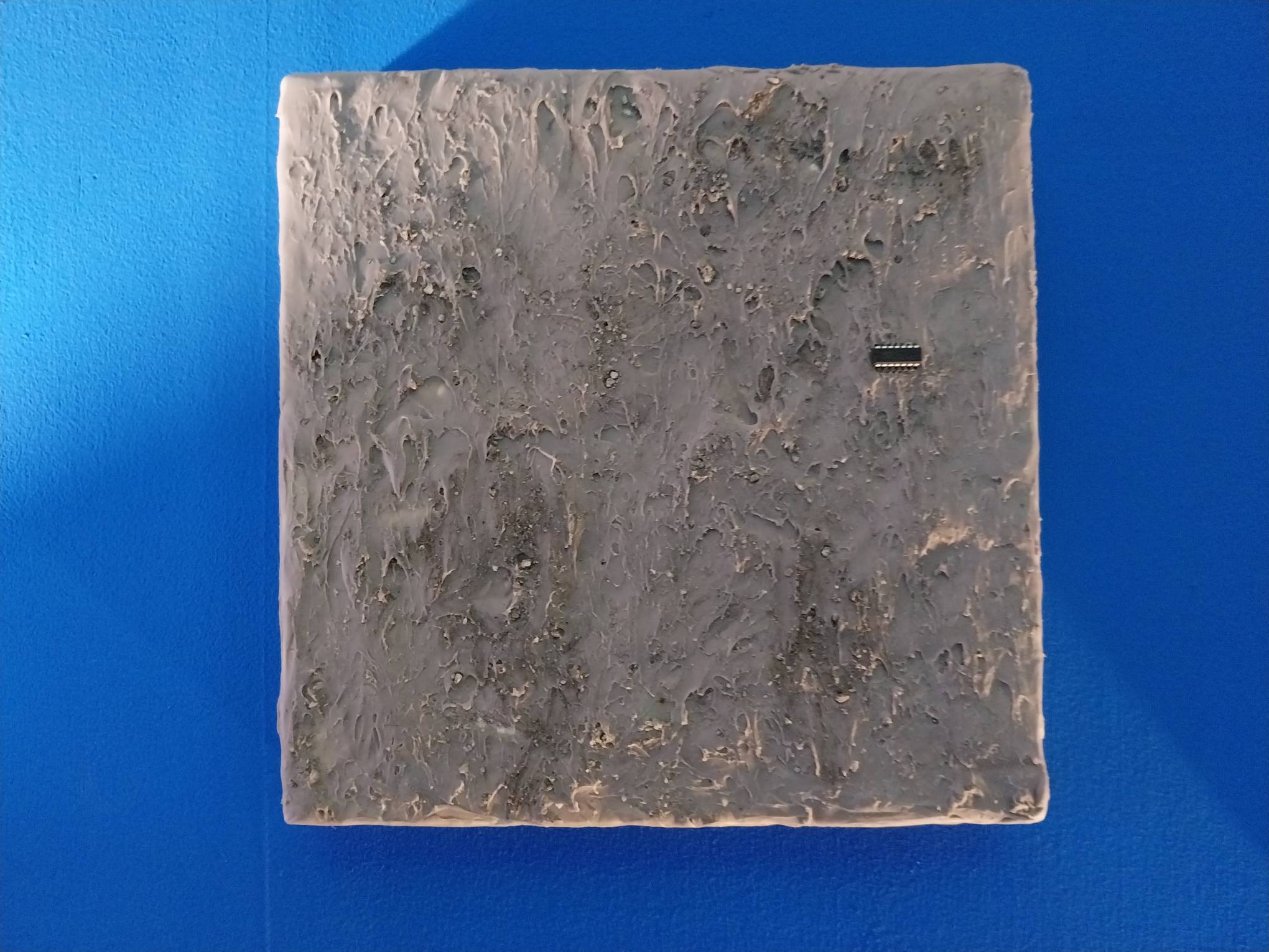 "Membrane" by Frankie Lalunio. Photo by Elle Yap.