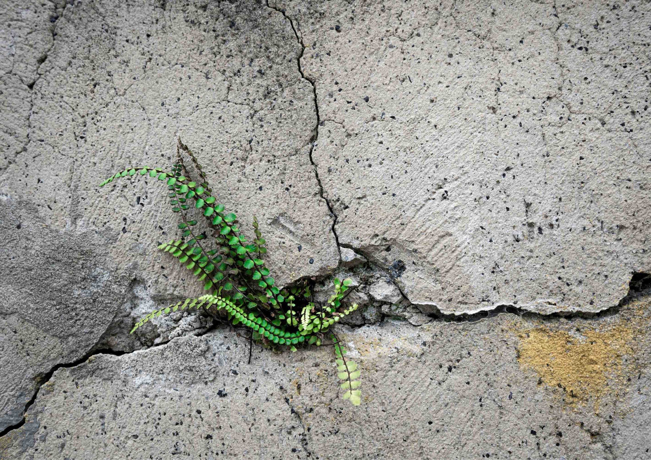 5 Sneaky Ways Bugs Get in Your Home.