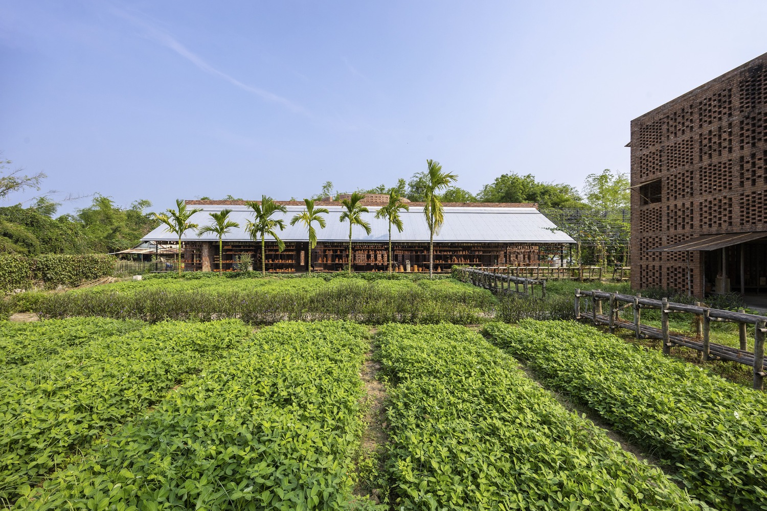 The farmland near the Terra Cotta Workshop. Photo by Trieu Chien.