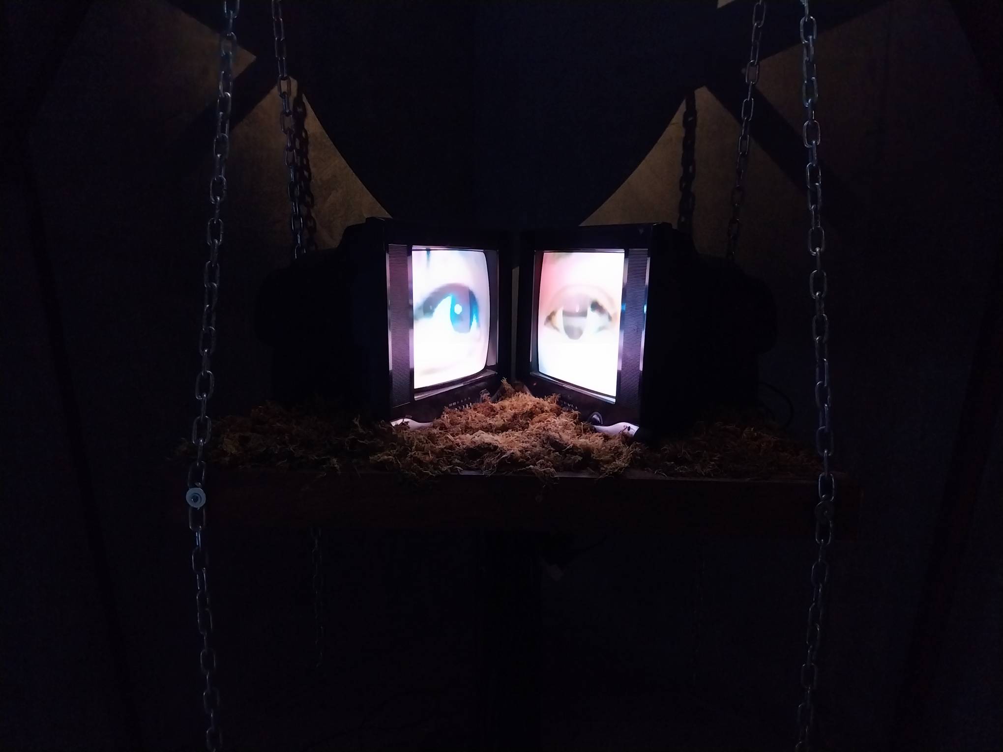 Two televisions with eyeballs showing in each screen. Photo by Elle Yap.