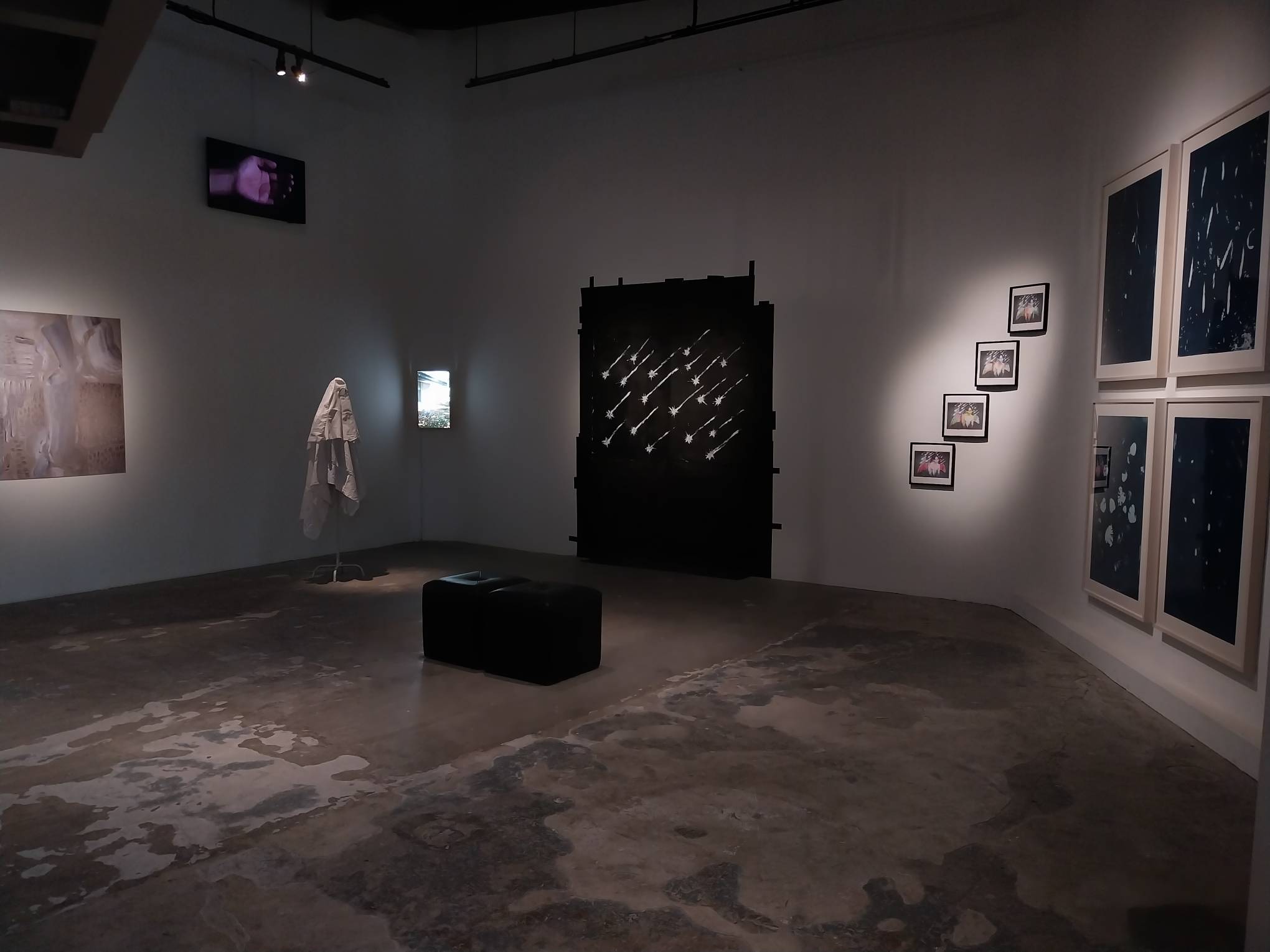 The Modeka Art exhibit "you were there from the beginning." Photo by Elle Yap.