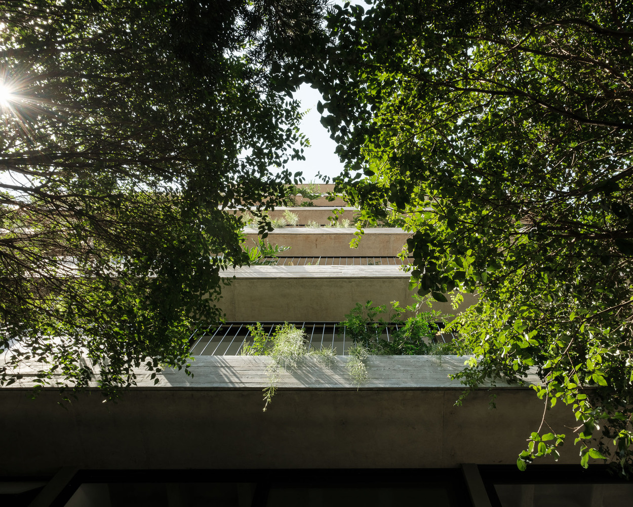 Manguatá Building with the greenery. Photo by Pedro Kok and Rafael Fiorotto.