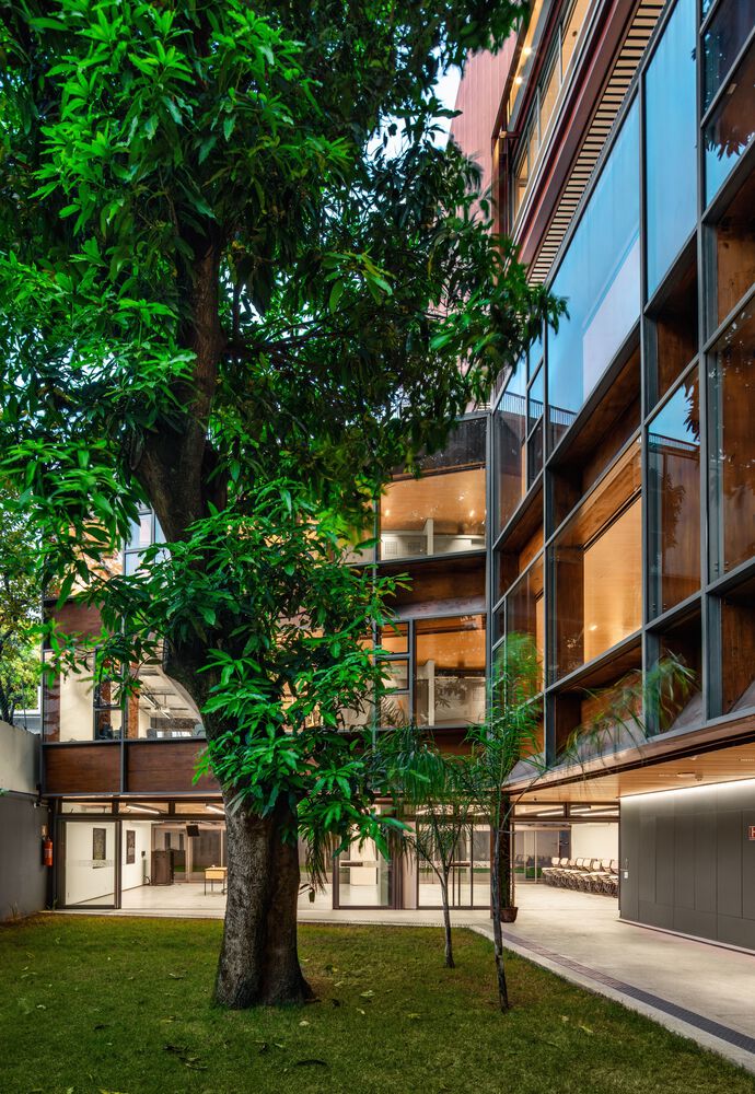 A mango tree at the center of Rudolf Steiner University. Photo by Nelson Kon and Guilherme Pucci