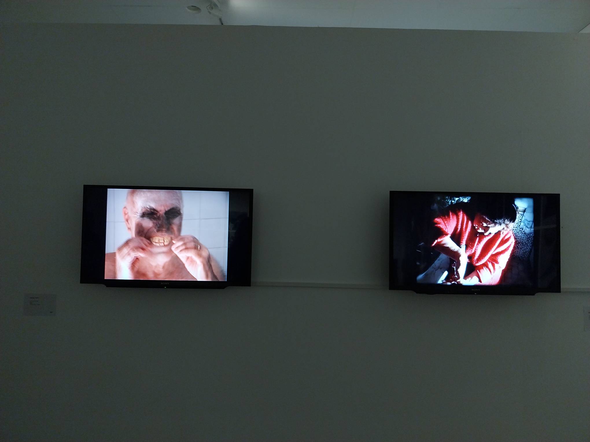 Two videos shown at "Project Belonging." Photo by Patricia Yap.