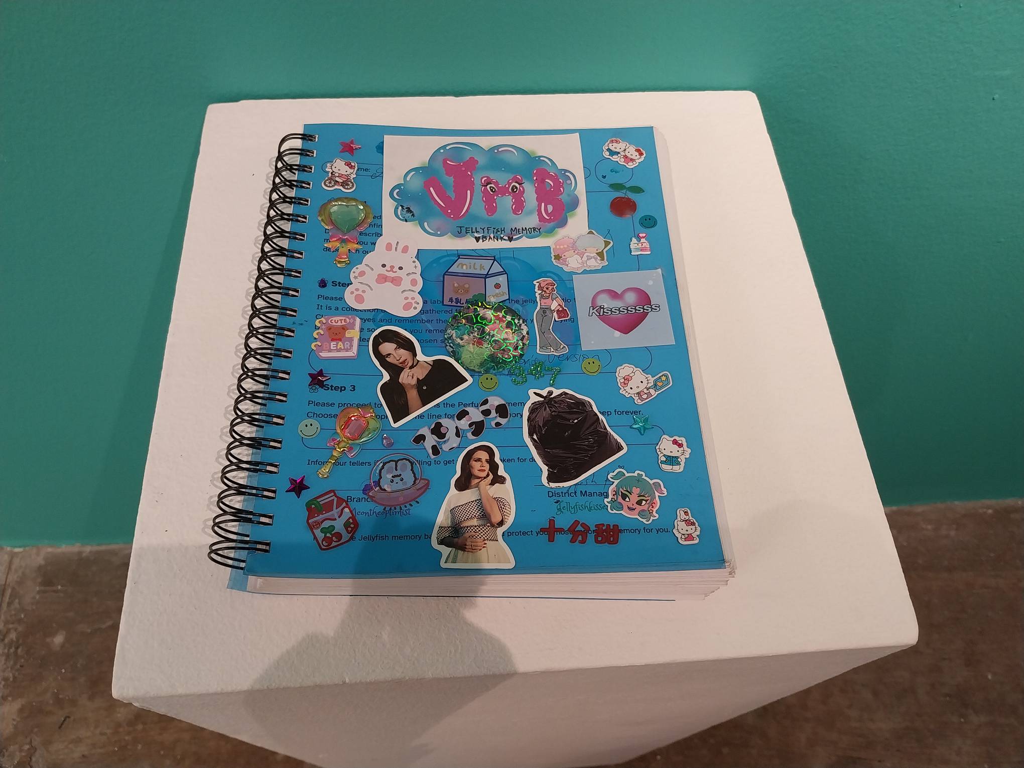 The Memory Bank book. Photo by Elle Yap.