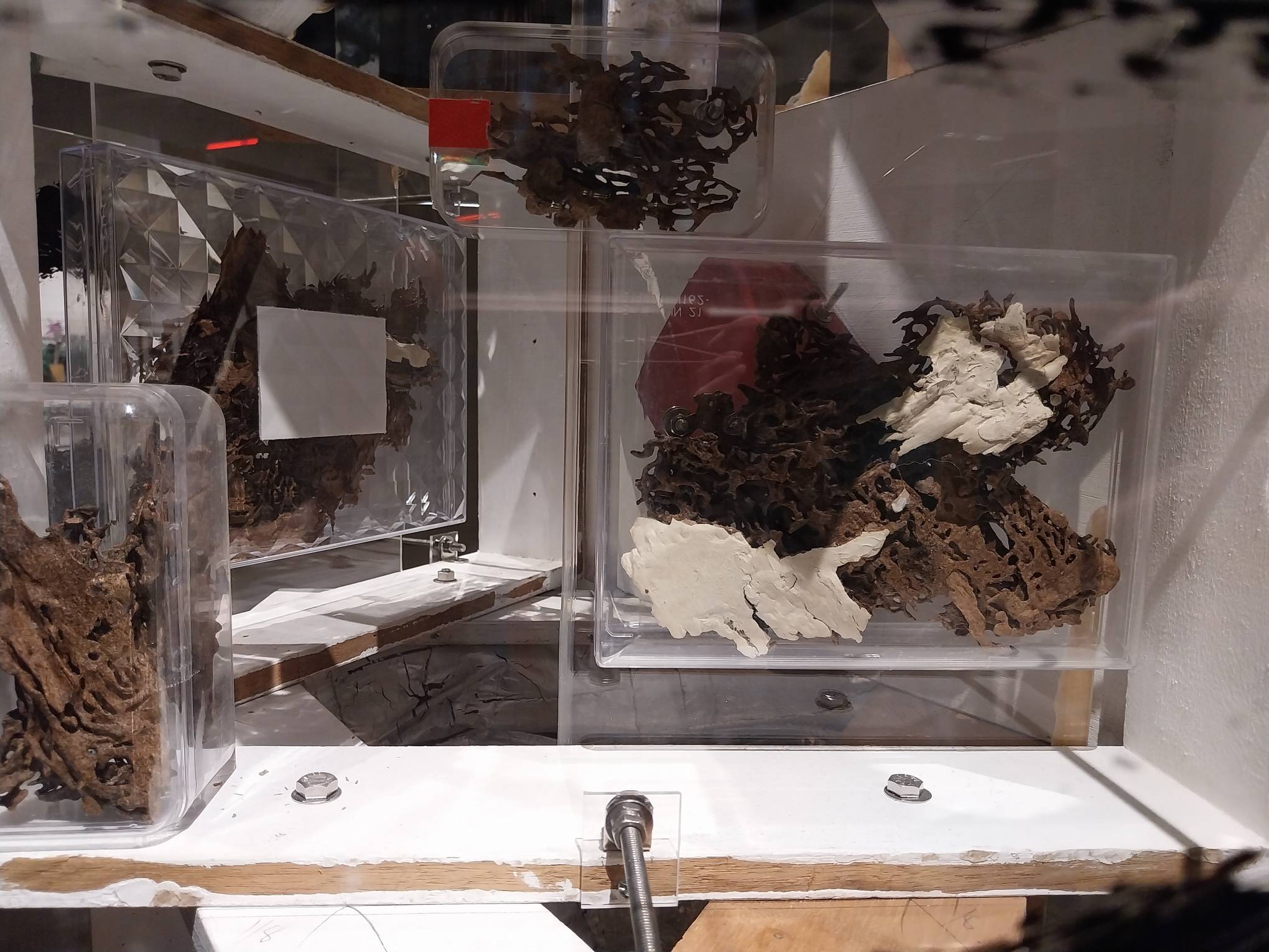 Other objects in "Lodi." Photo by Elle Yap.