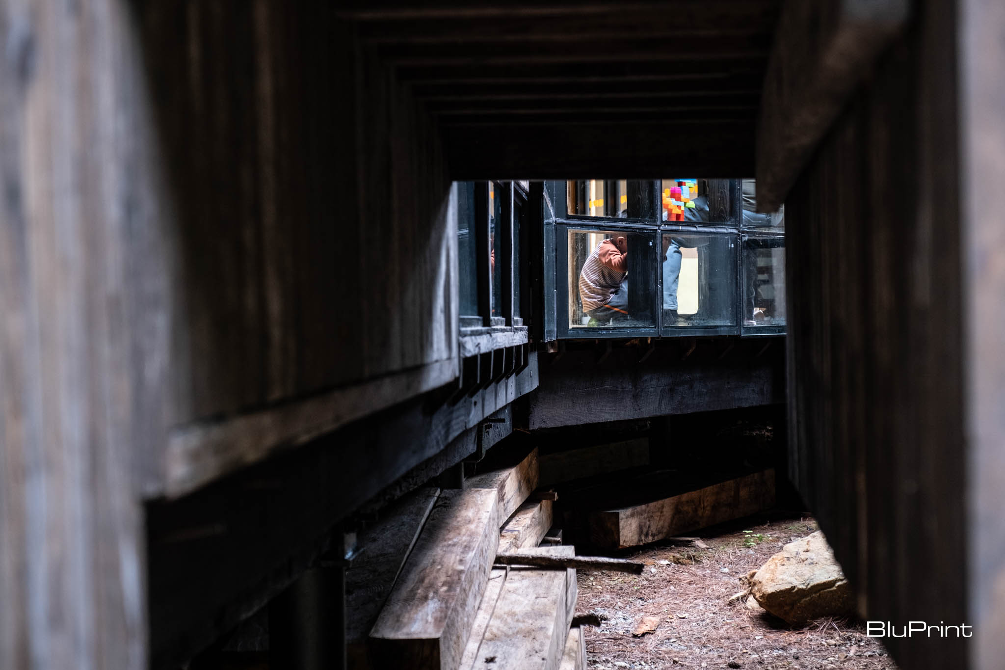 detail shot of the The Hive