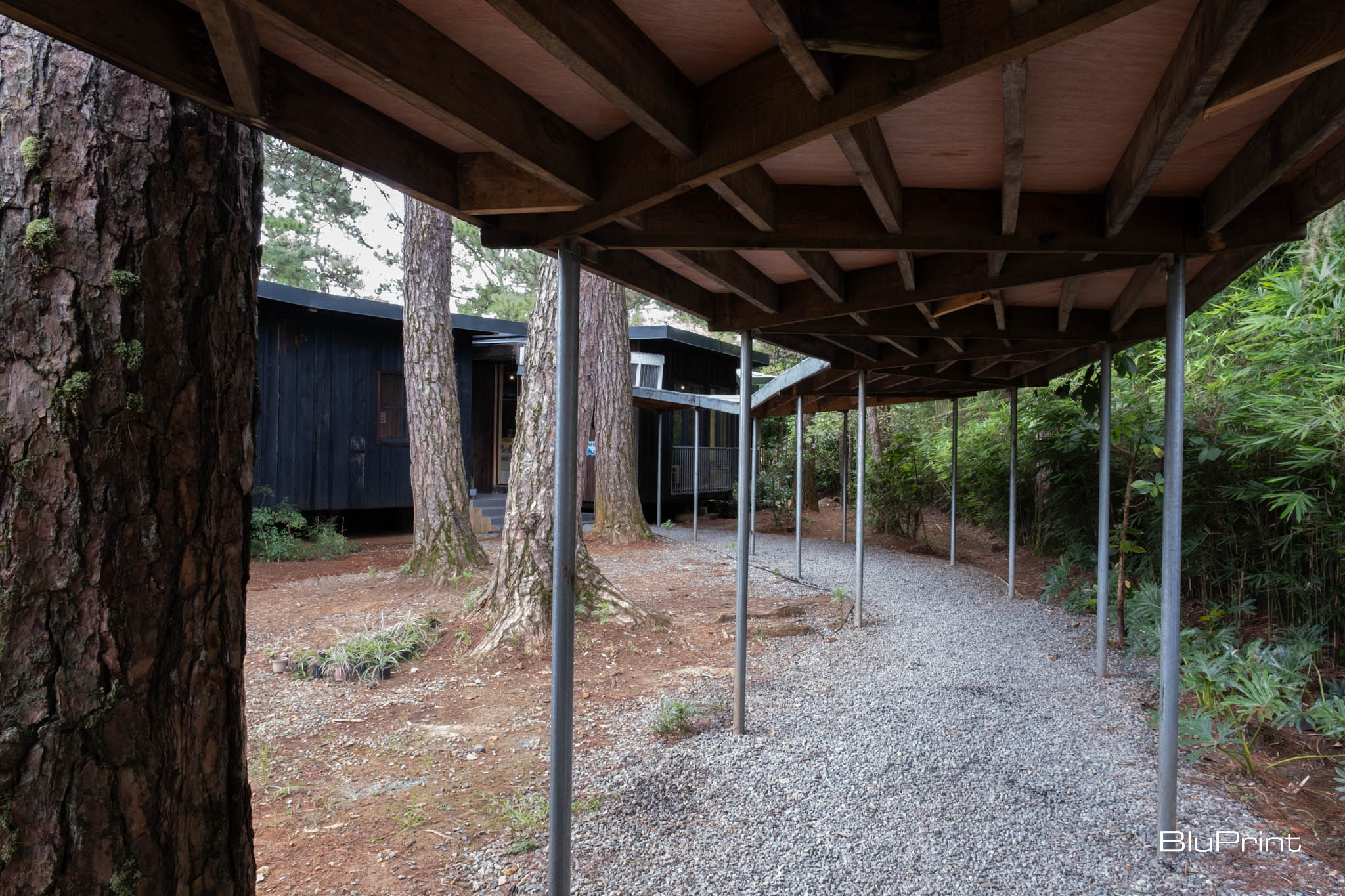 A path going to the Hive