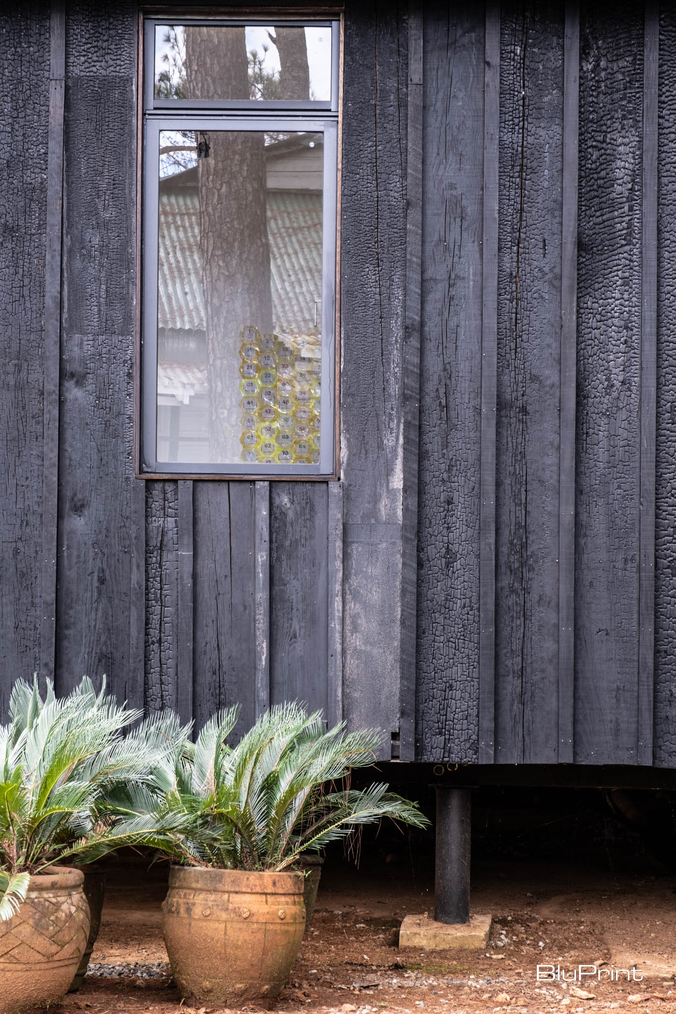 detail shot of the timber cladding