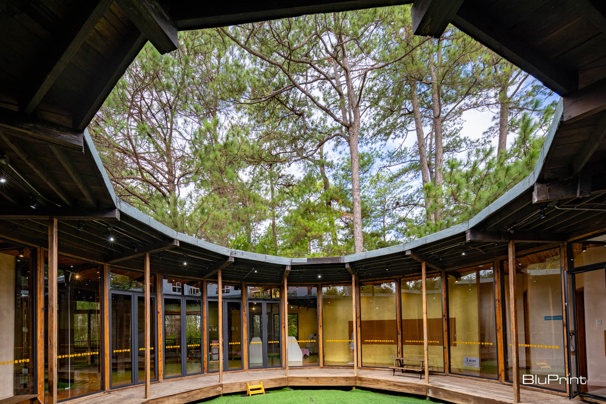Trees peeking though the central courtyard of The Hive