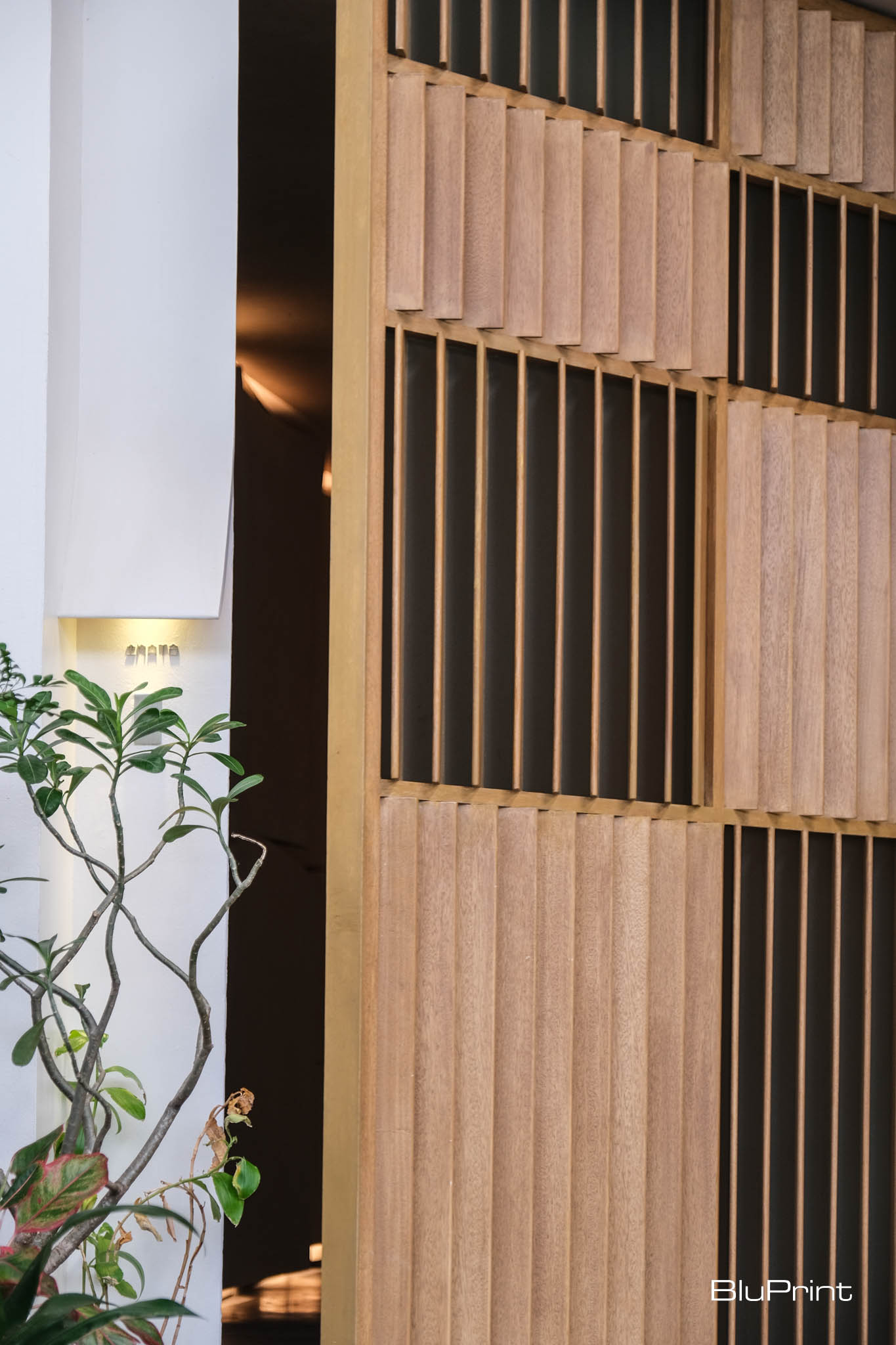 window panels details