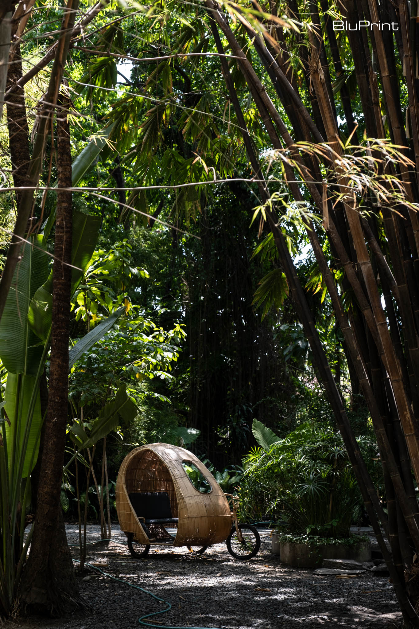 OMO Furniture's bamboo pedicab celebrates the use of sustainable indigenous materials.