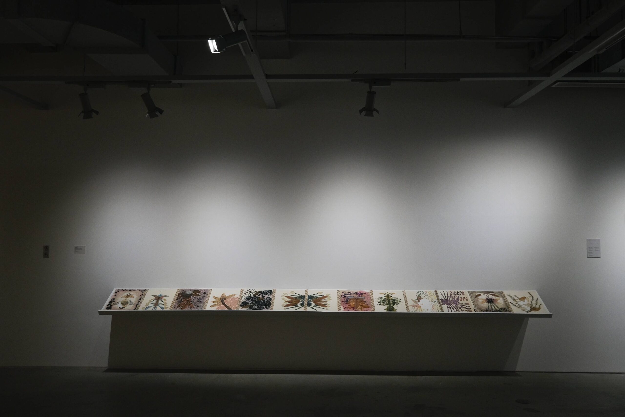 Geraldine Javier's paper works. Photo by Ed Simon.