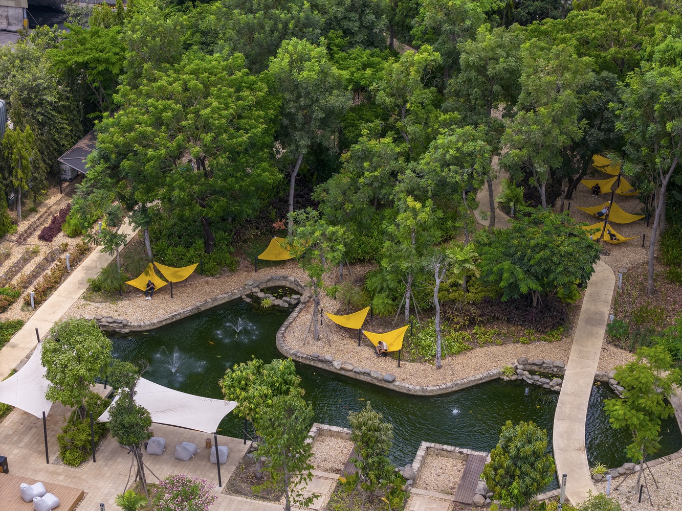 The nature area of CP Vietnam Headquarters. Photo by Trieu Chien.