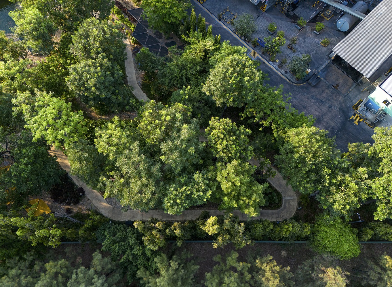 A tree-filled trail at CP Vietnam Headquarters. Photo by Trieu Chien.