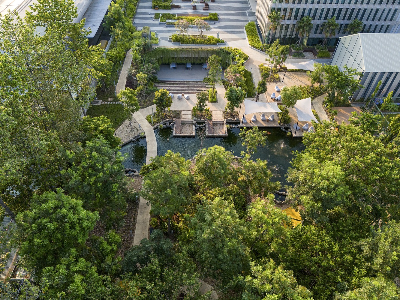 The koi pond near a nature trail. Photo by Trieu Chien.