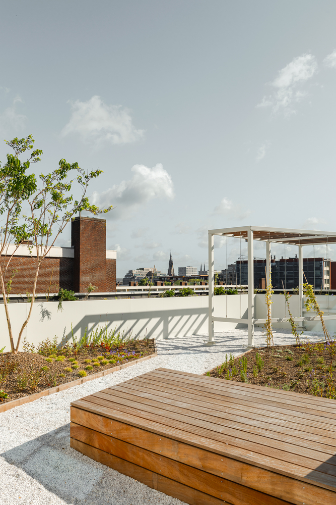 One of the roof gardens in the building. Photo by Sebastian van Damme.