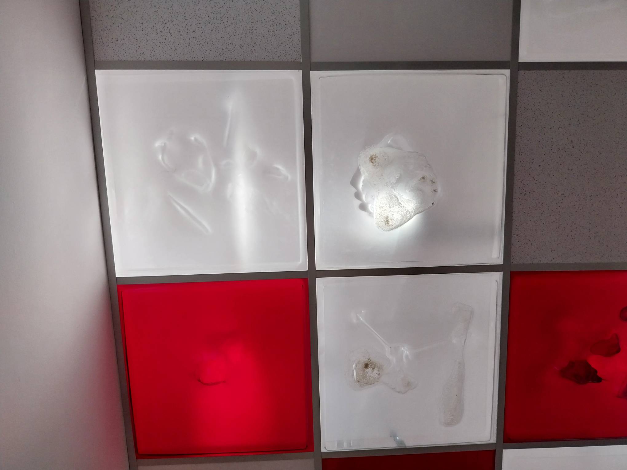 Five works for "Not of Water Flesh and Blood." Photo by Elle Yap.