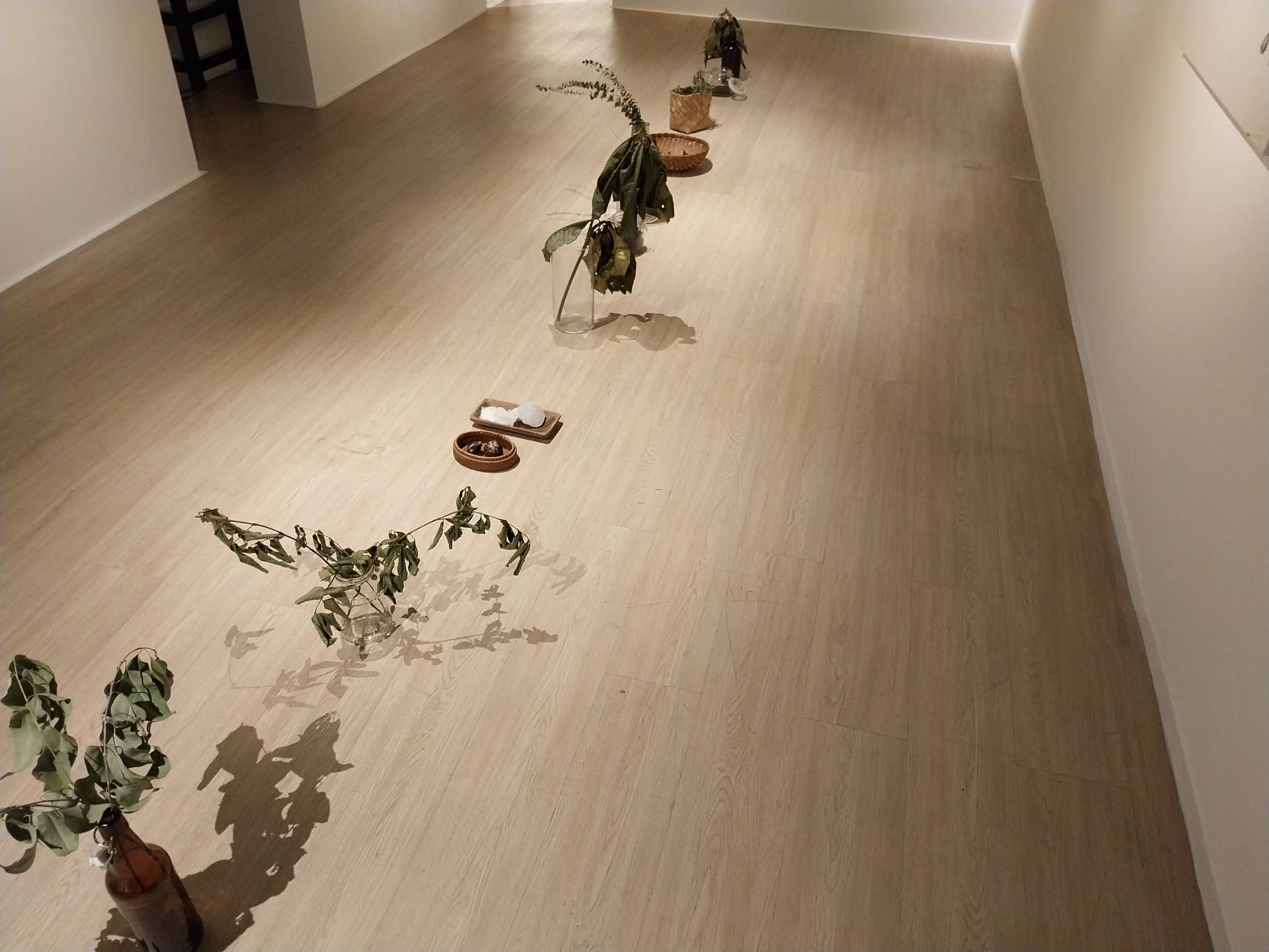 Line of plants at "an open hand, a cosmos." Photo by Elle Yap.