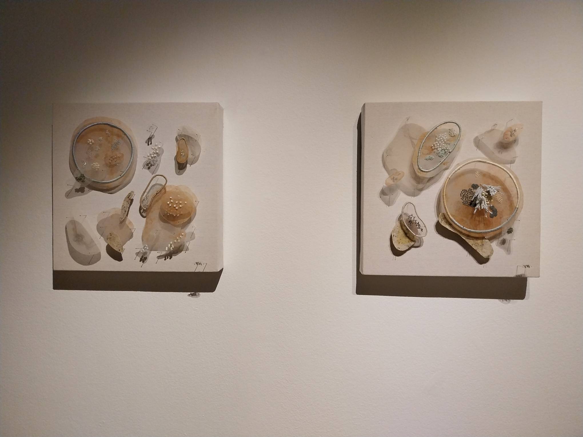 Two of the "a composition to a forage collection." Photo by Elle Yap.