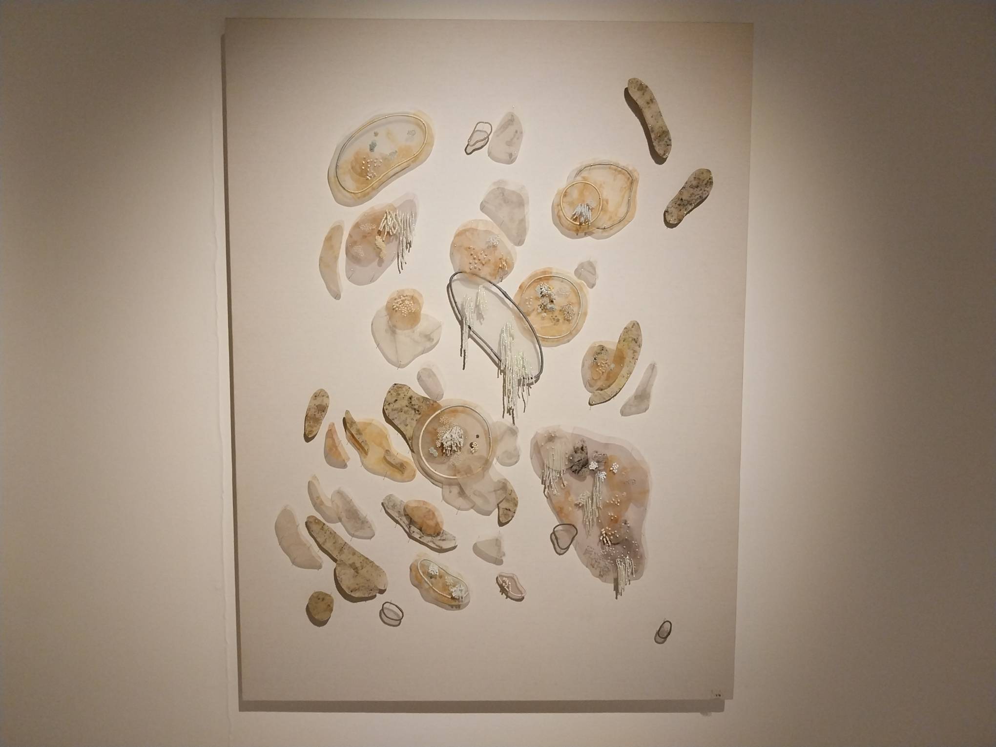 "assembling cosmos" by Katherine Nuñez. Photo by Elle Yap.