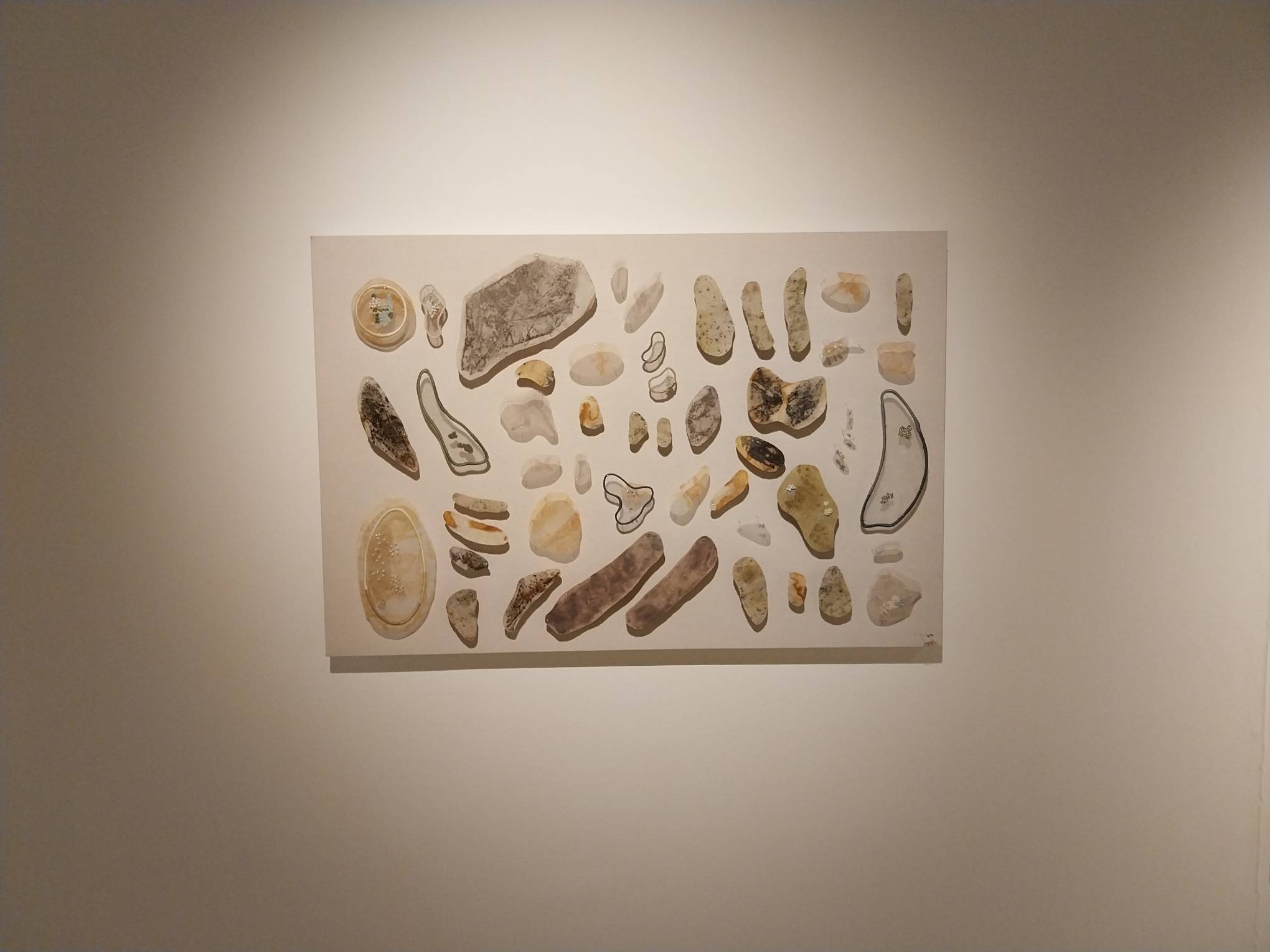 "specimens from my neighbor’s garden." Photo by Elle Yap.