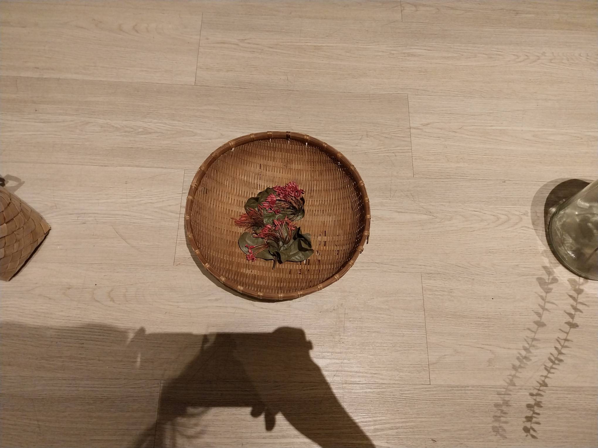 Flowers used for dye. Photo by Elle Yap.