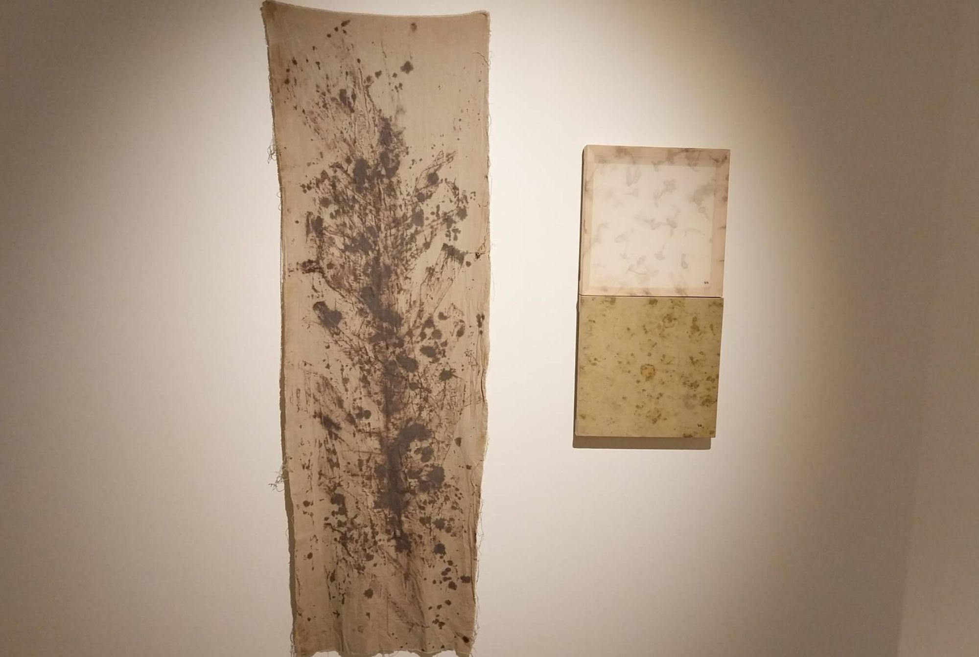 "soil samples" and "test dye of a banana plant grown in a cold climate." Photo by Elle Yap.