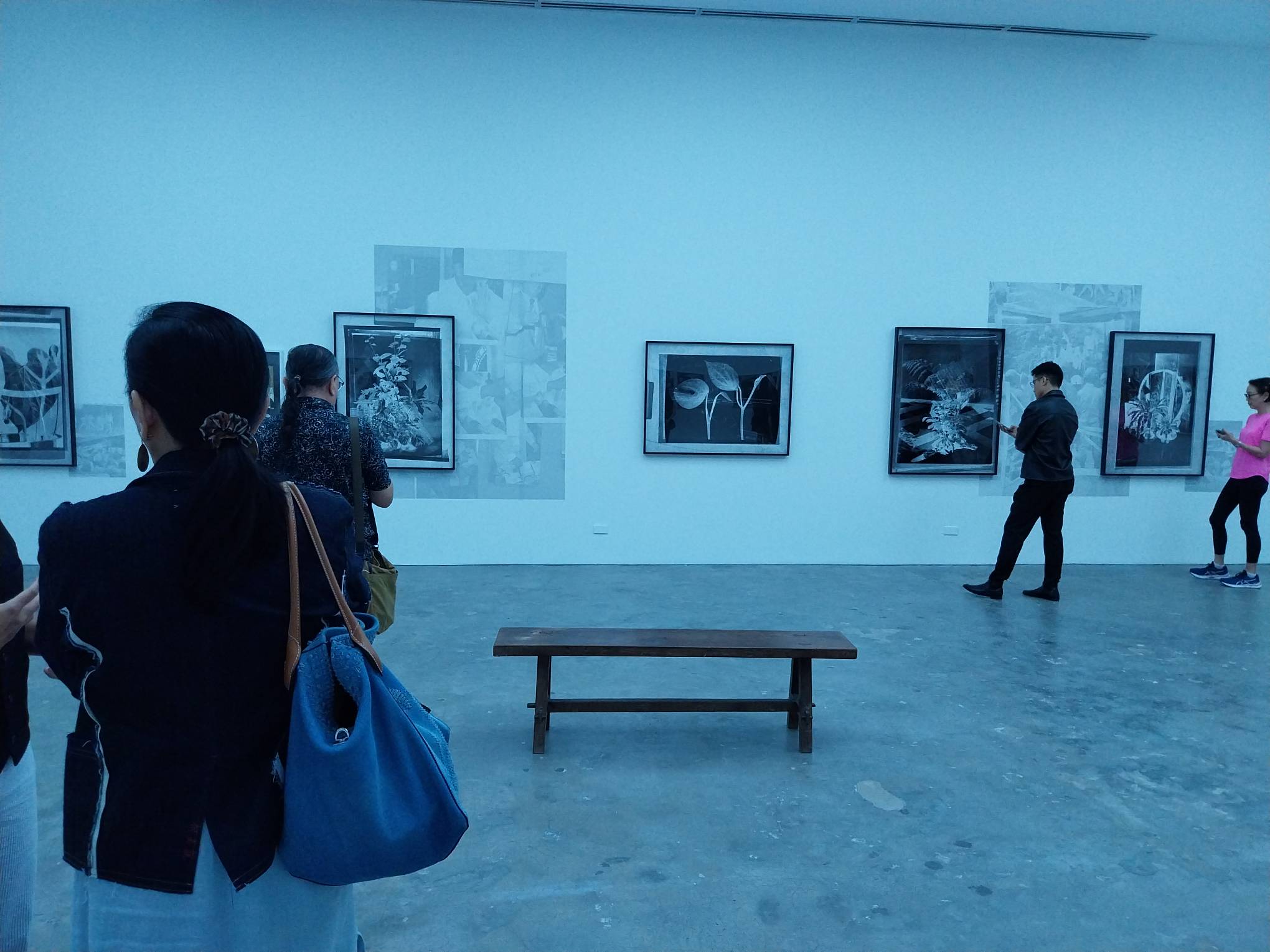 Gallery visitors for Stephanie Syjuco's "Inherent Vice." Photo by Elle Yap.