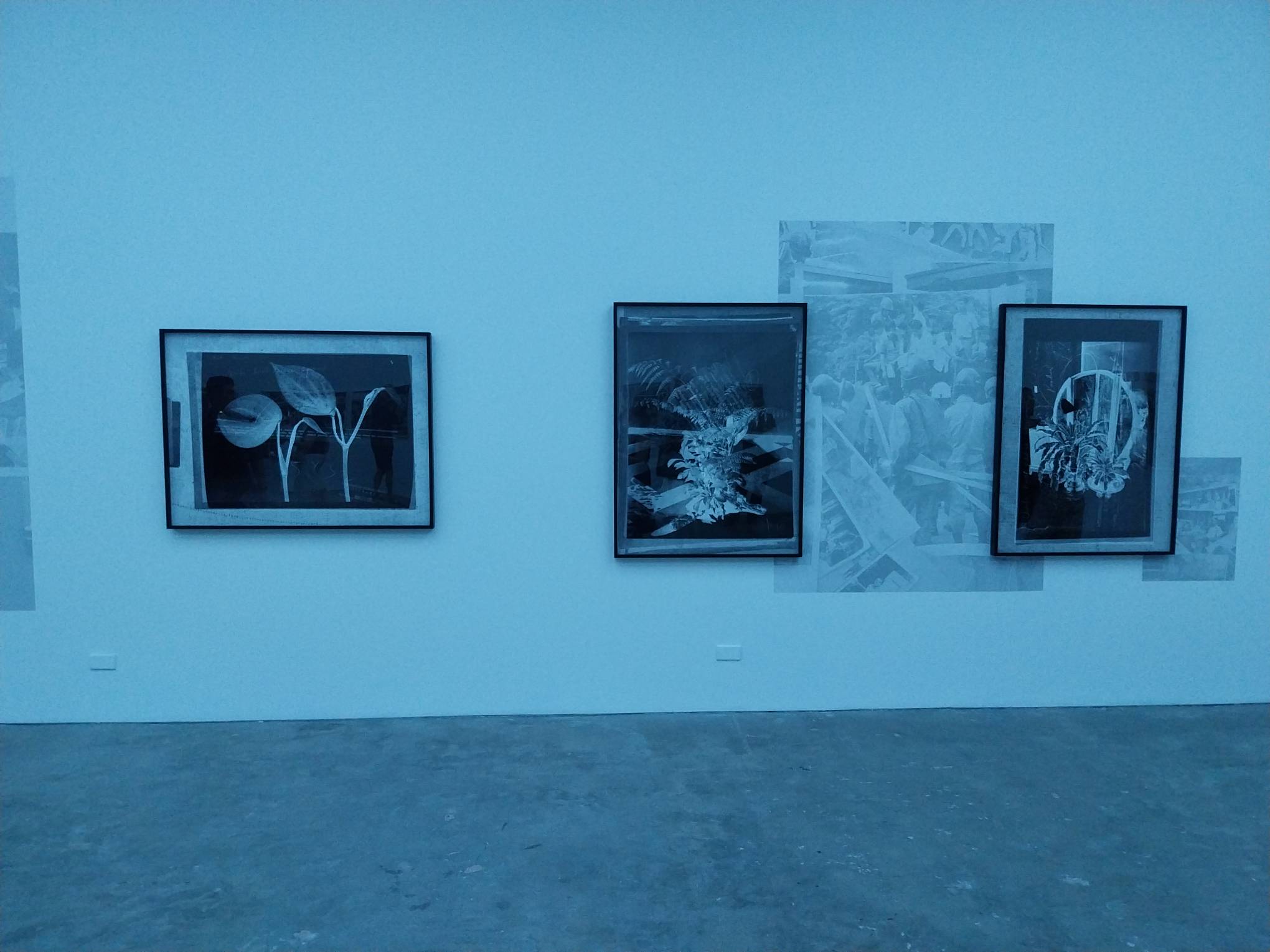 Two works from "Inherent Vice" by Stephanie Syjuco. Photo by Elle Yap.