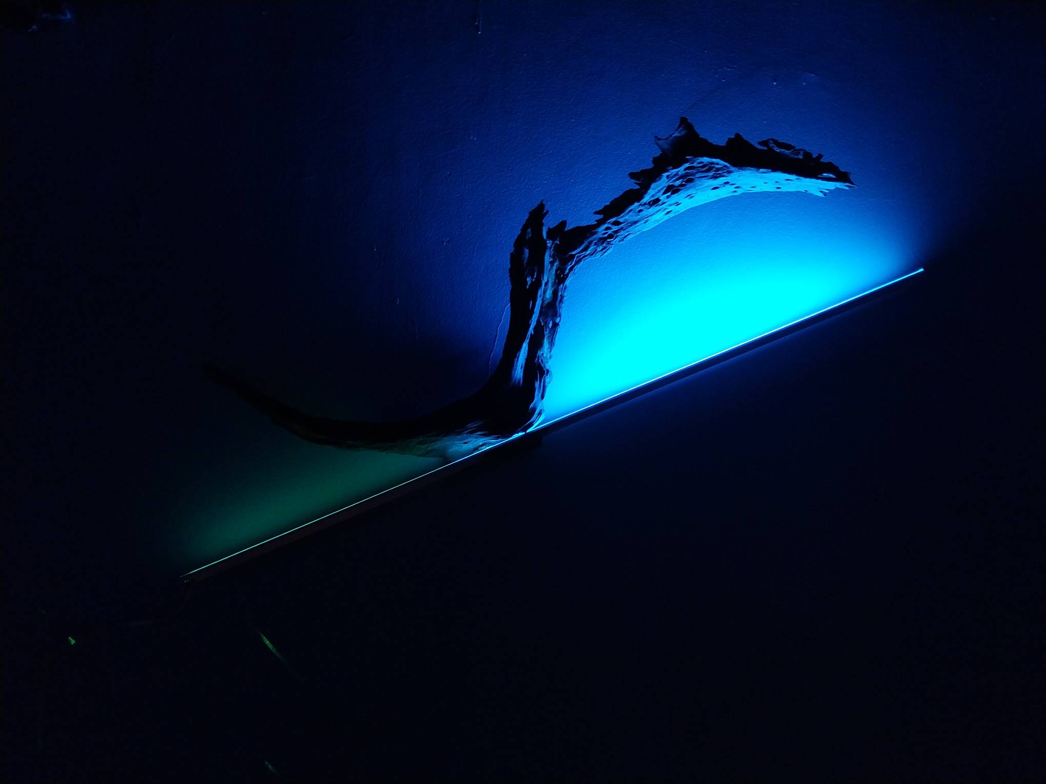 Tree branches and light made by Aaron Cabangis'. Photo by Elle Yap.