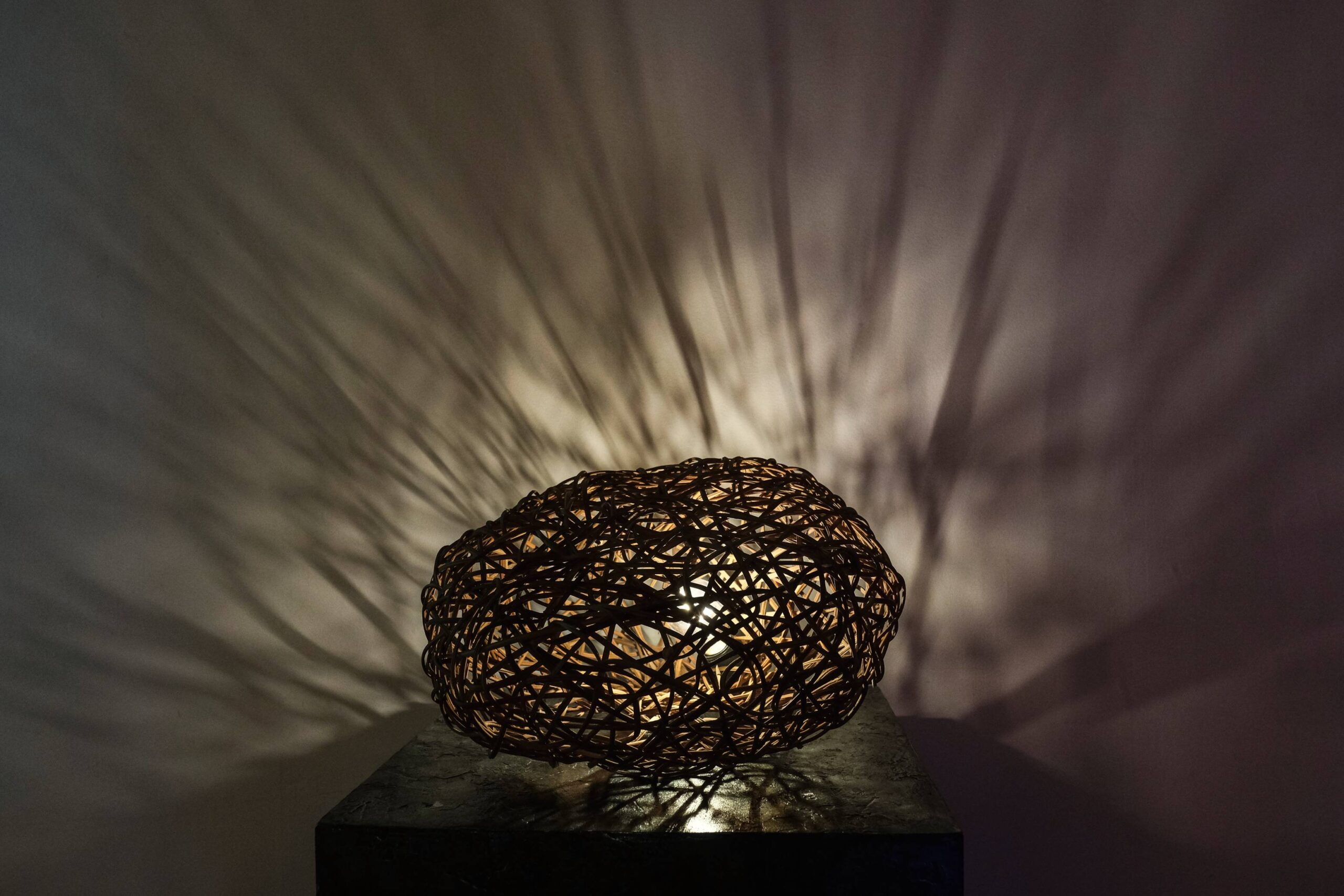 "Tangled Shadows" by Isola Tong. Photo by Ed Simon.