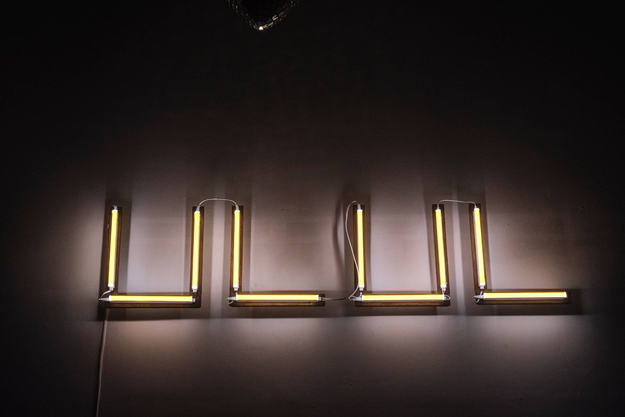 Gino Javier's "Unacceptable Levels In Embracing Bullshit." Photo by Ed Simon.